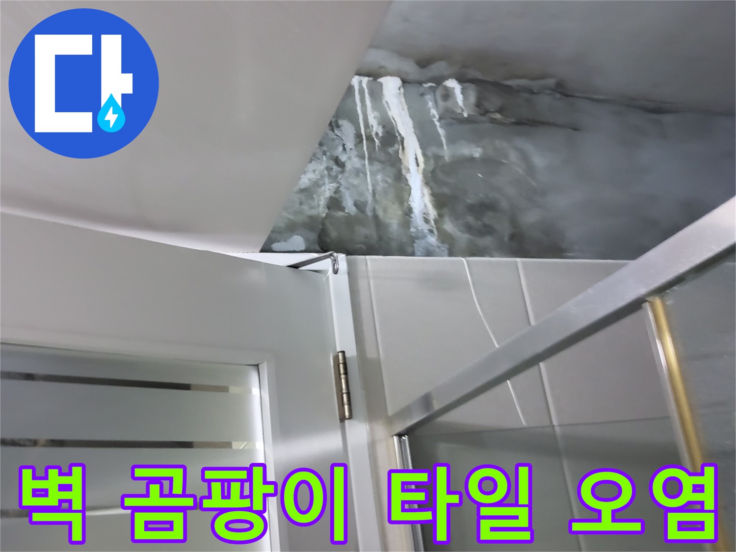 분당구 운중동 샤워부스 벽면 곰팡이 핀 흔적 및 타일 틈새 오염 확인 - 전문적 진단