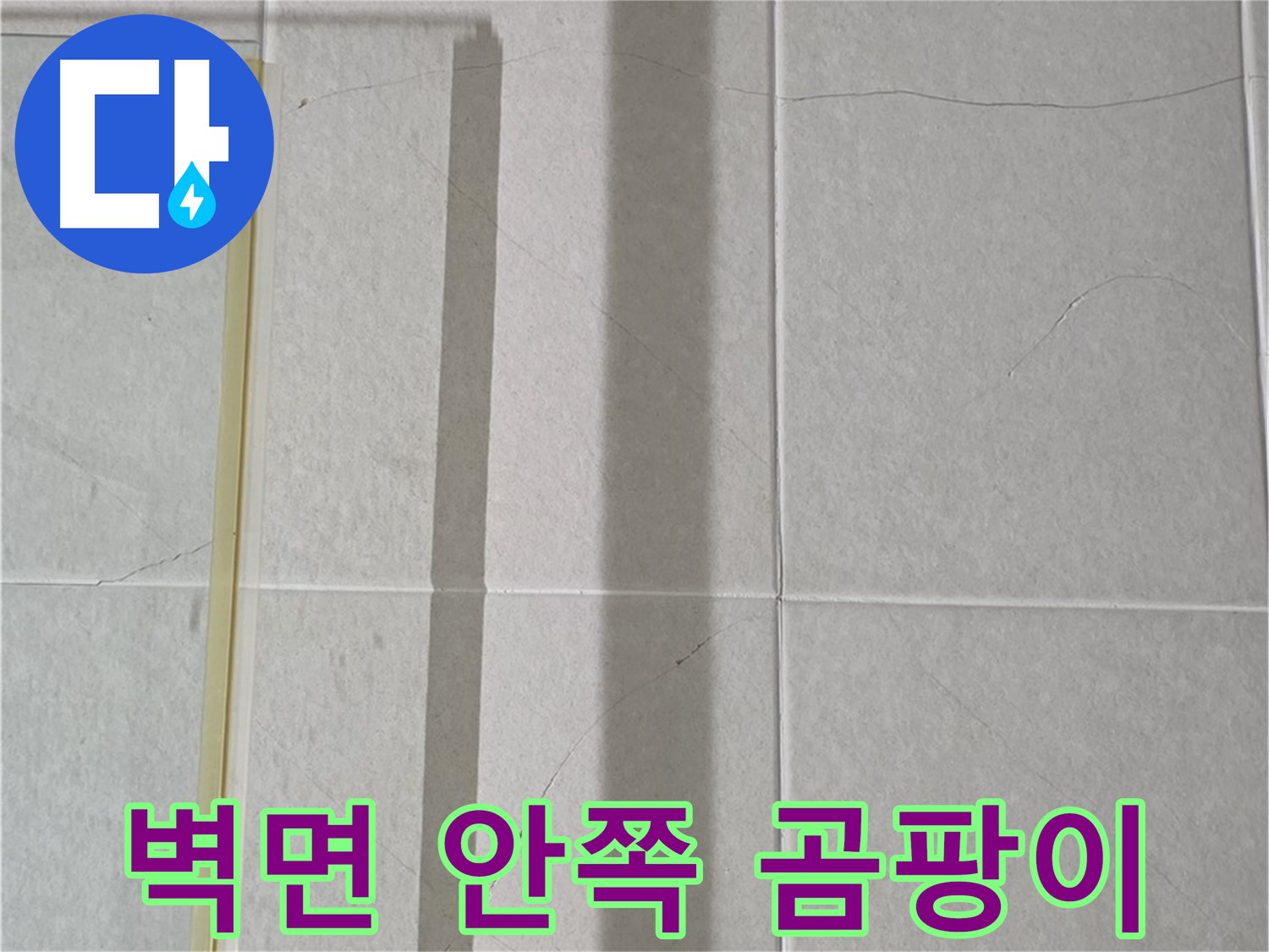 분당구 운중동 샤워부스 - 벽면 타일 틈새 누수, 벽면 안쪽 습기로 인한 곰팡이 발생
