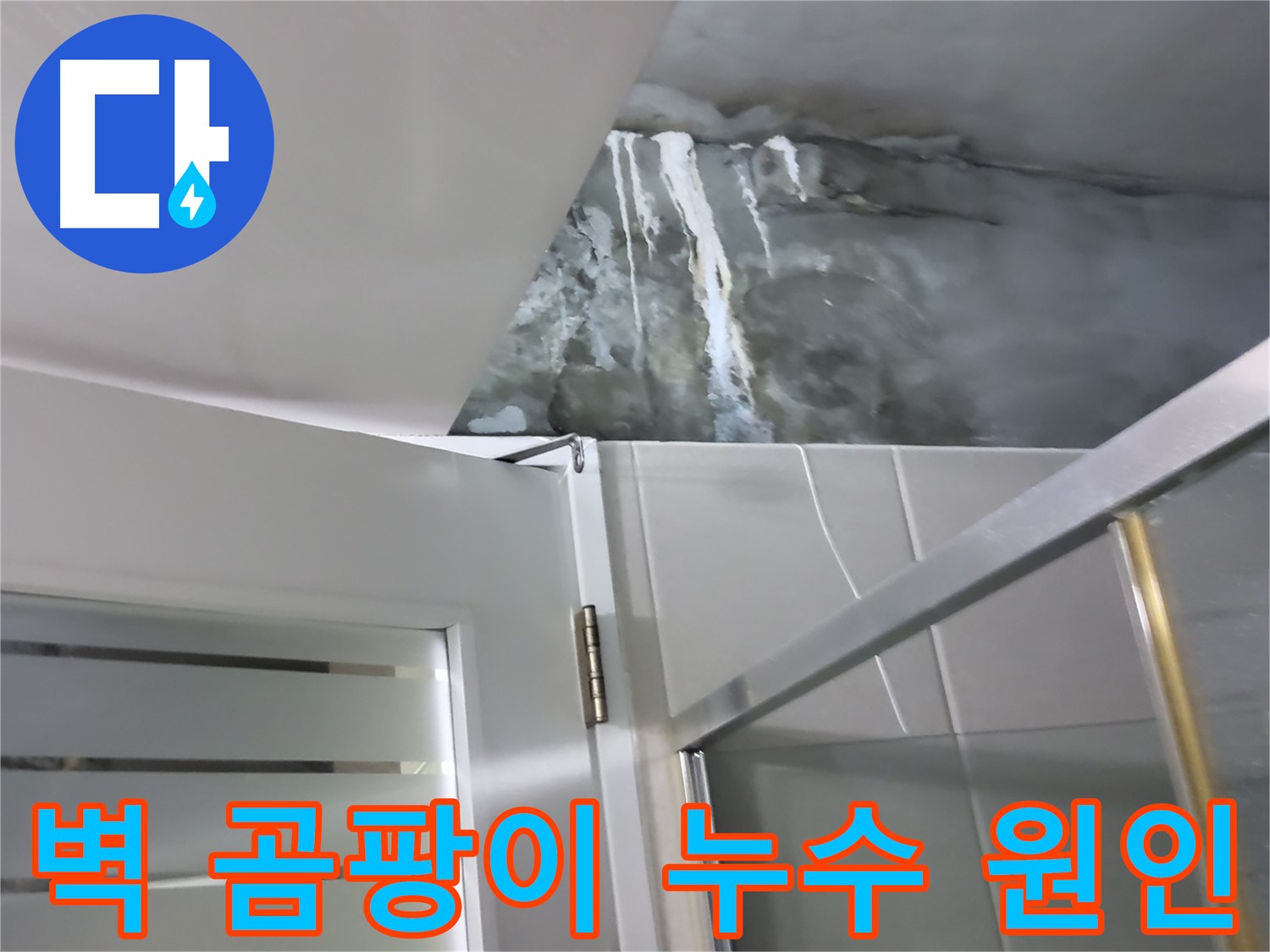 분당구 운중동 아파트 샤워부스 벽면 곰팡이 및 누수 원인 파악 - 전문적인 진단 과정