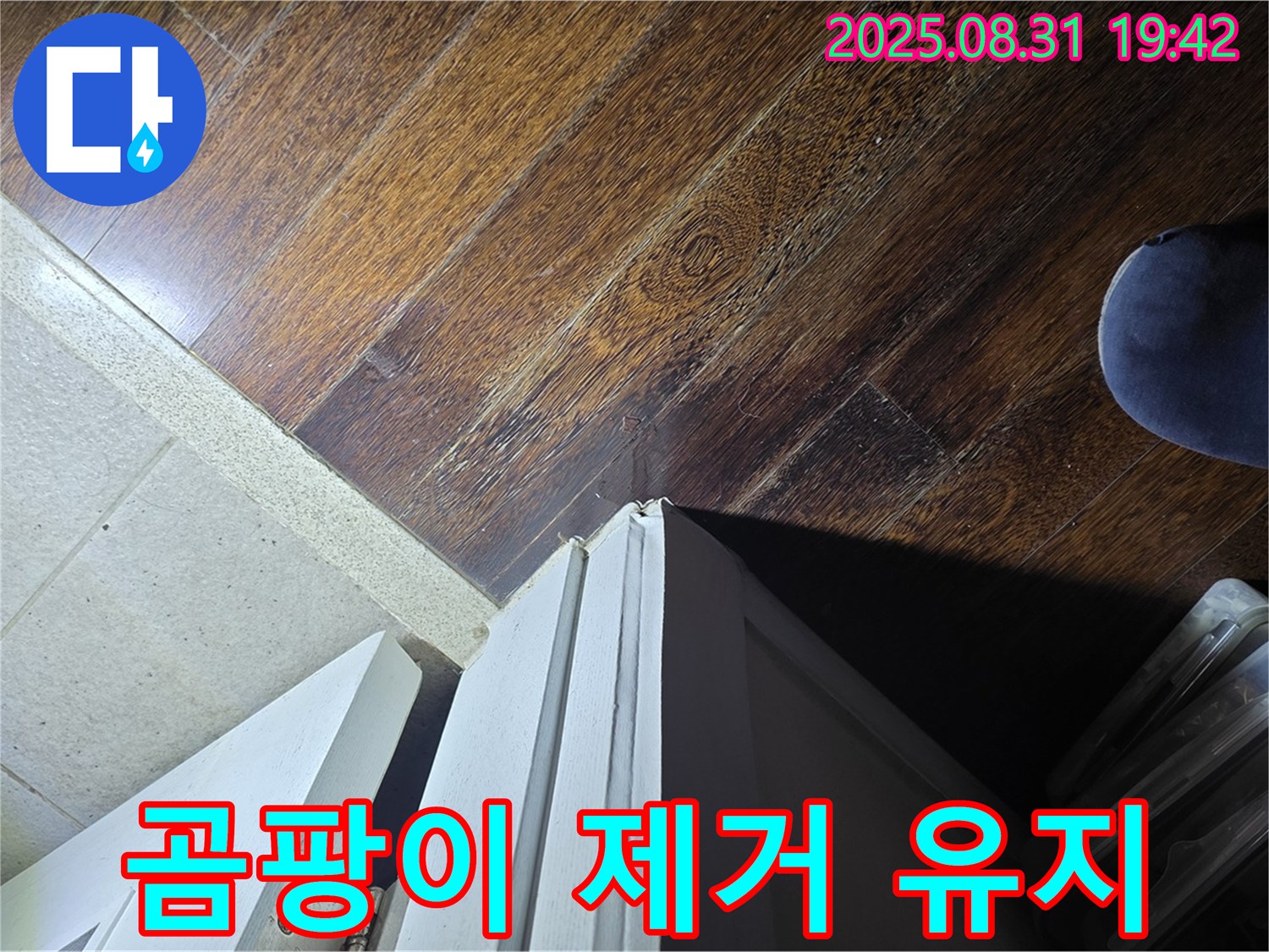 성남 분당 누수 - 운중동 산운마을 누수, 문턱 주변 곰팡이 제거 후 청결 유지, 깨끗하게 관리하세요!
