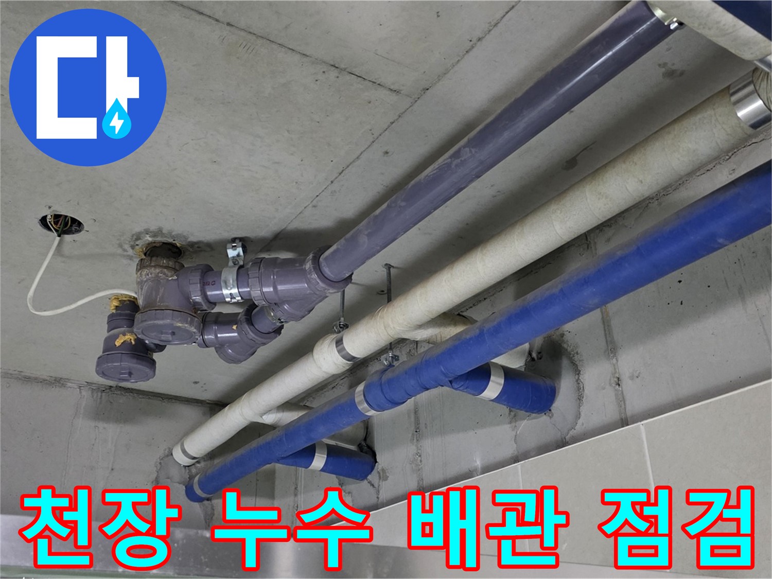 성남 분당 산운마을 상가 천장 누수 배관 점검 - 꼼꼼한 진단과 해결