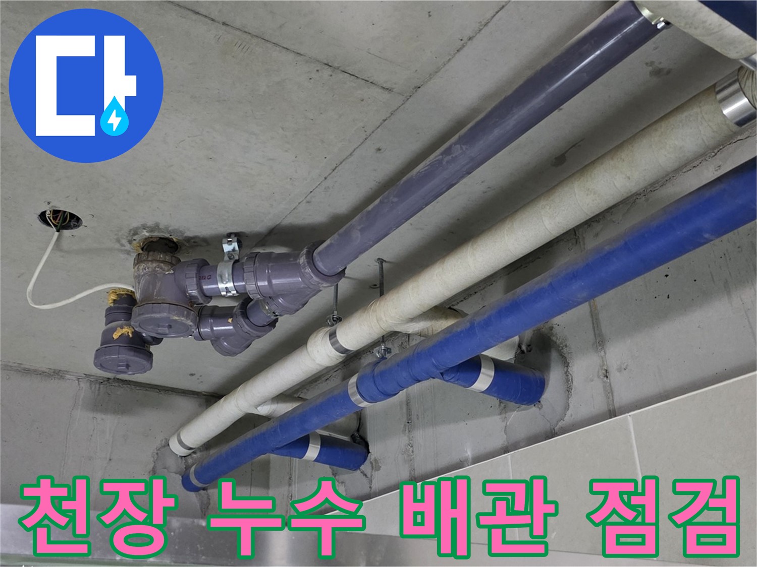성남 분당 산운마을 천장 누수 배관 점검 - 꼼꼼한 진단과 해결
