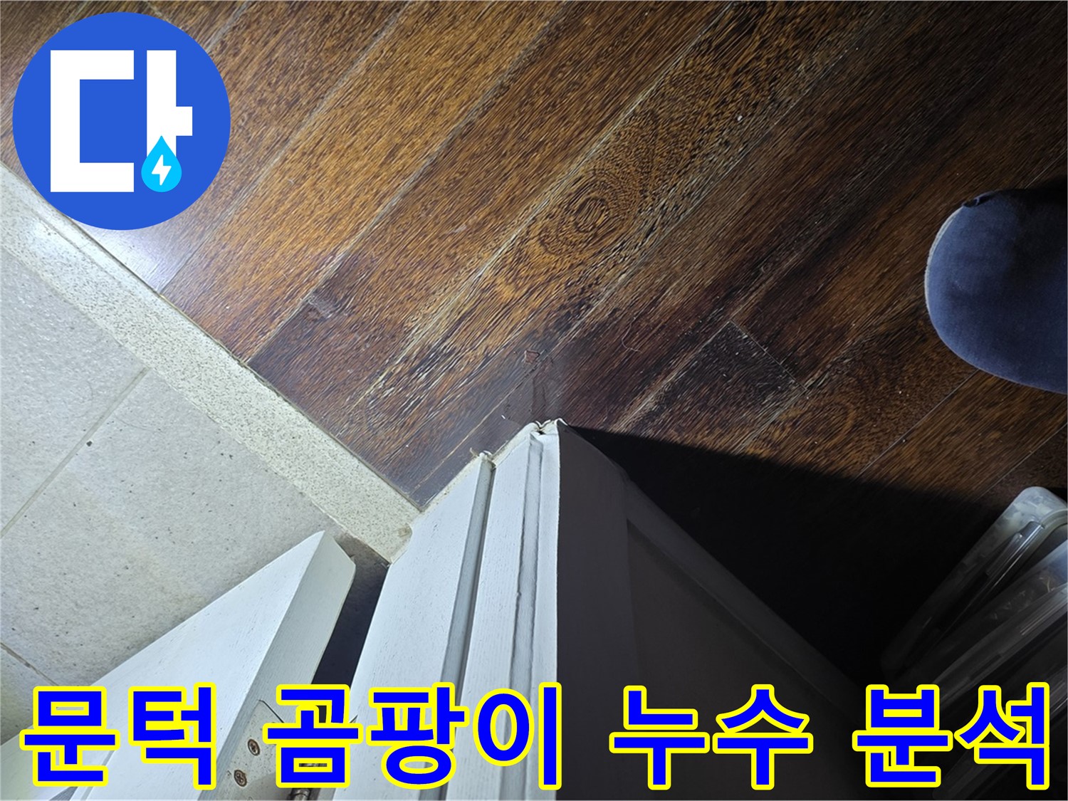 성남 분당 아파트 누수 - 운중동 산운로 문턱 주변 곰팡이와 누수 연관성 집중 분석
