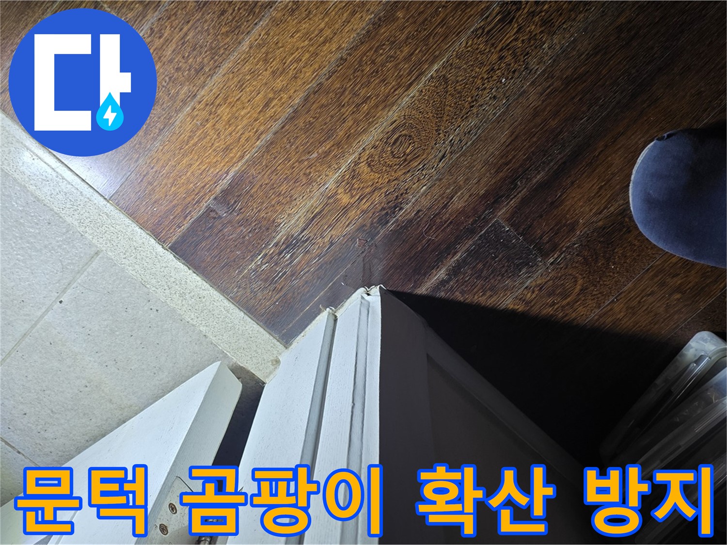 성남 분당 아파트 누수 - 운중동 산운마을 문턱 주변 곰팡이 확산 방지