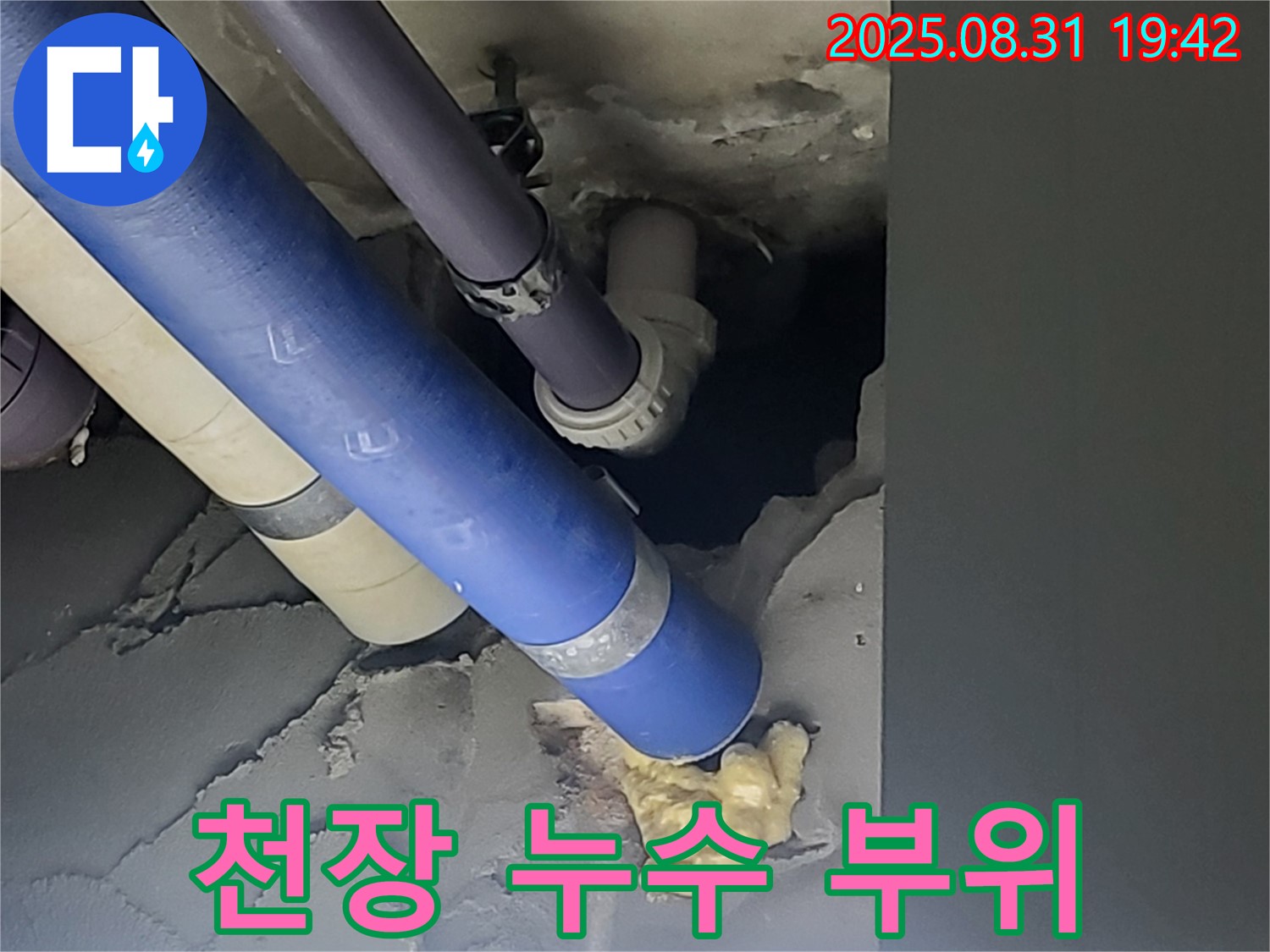 성남 분당 운중동 산운마을 천장 누수 부위 - 누수 문제 해결 전문가가 꼼꼼하게 확인합니다.