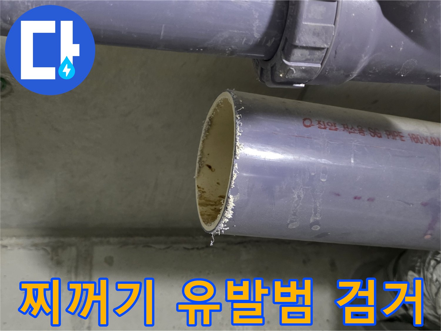 성남시 분당구 누수 현장 - 배관 속에서 나온 이물질을 보여주는 사진 - 누수 유발범을 확실하게 잡았습니다!
