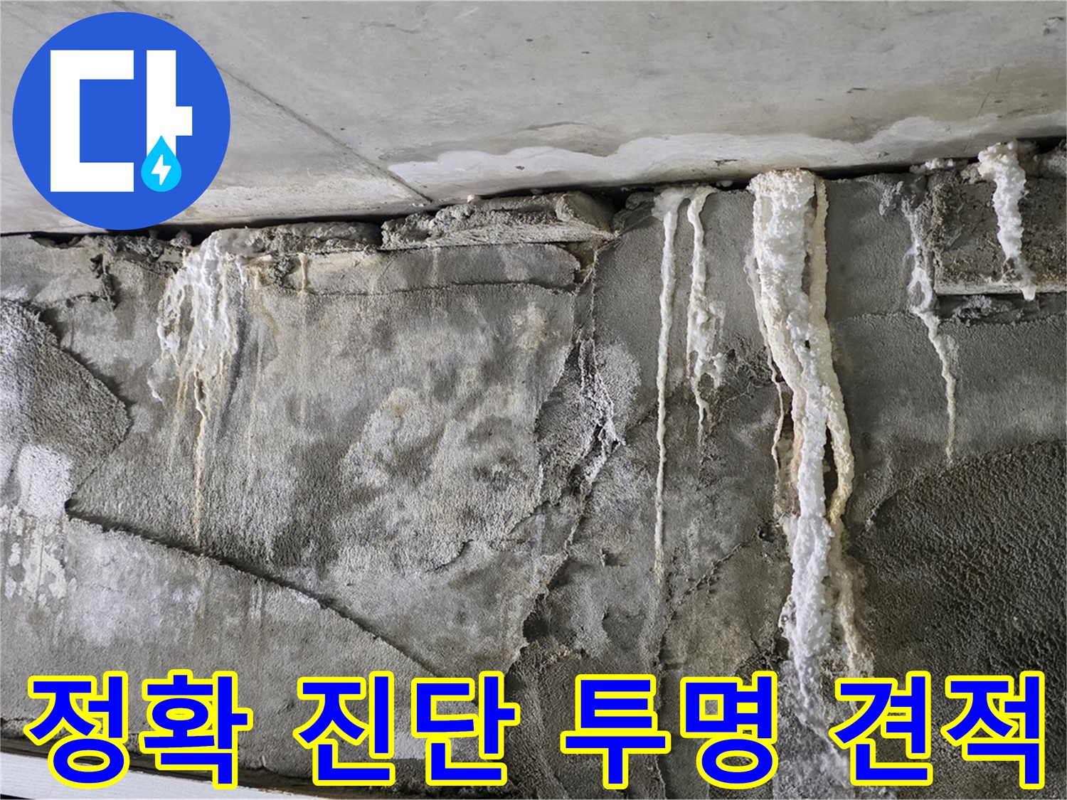 운중동 누수 탐지 - 정확한 진단과 투명한 견적, 고객 만족도 100%