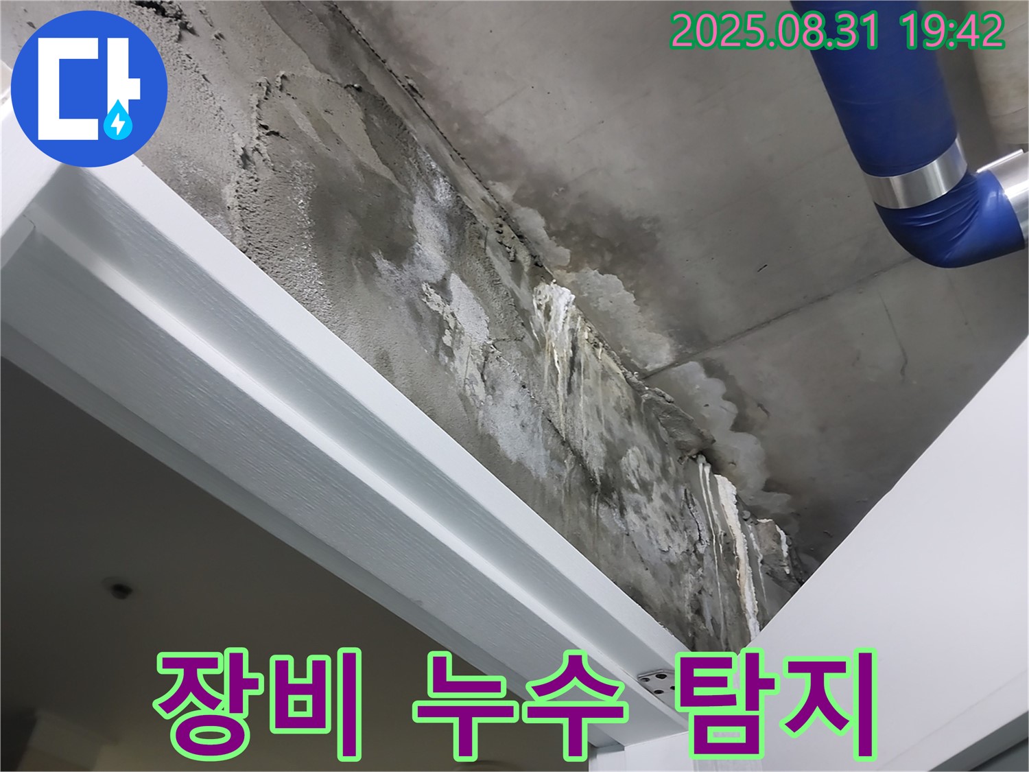 최첨단 장비 - 누수 탐지 - 최첨단 장비를 사용하여 정확한 누수 지점을 탐지하고 있습니다.