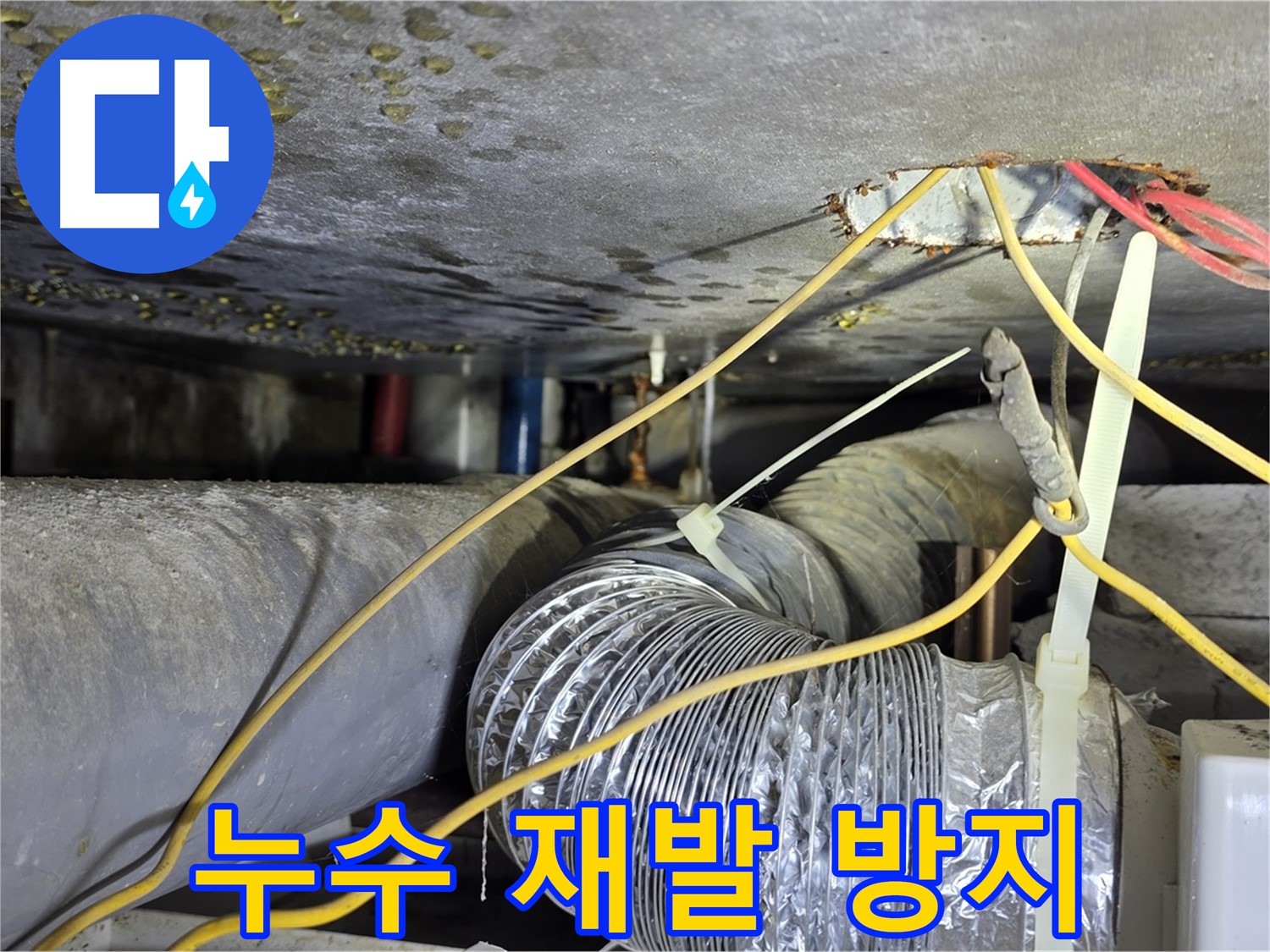 광진구 능동 누수 - 완벽한 시공으로 누수 재발 방지