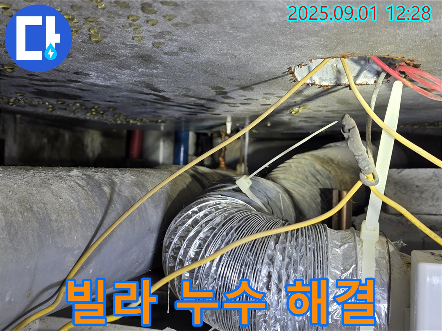 광진구 능동 아성빌라트 누수 문제 해결 - 전문적인 누수 탐지 및 공사