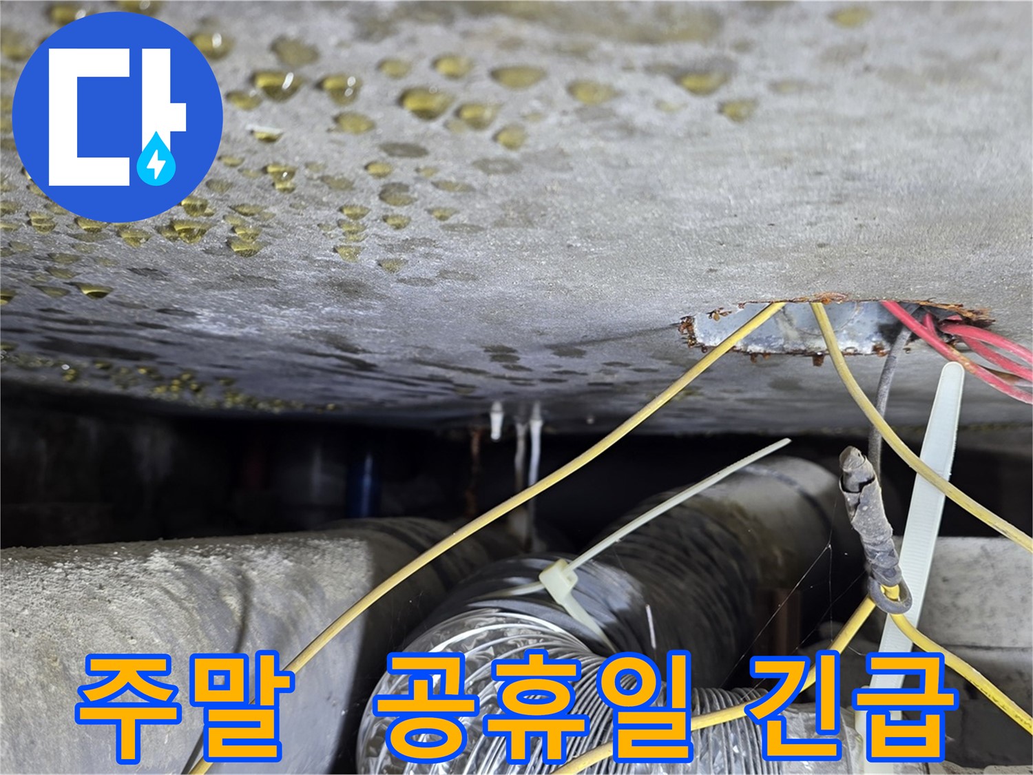 광진구 능동 주택 긴급 누수 발생 - 주말 공휴일 출동
