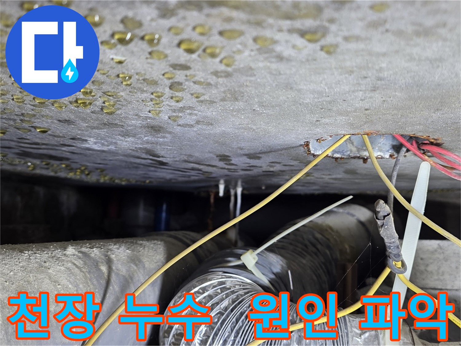 능동 아성빌라트 누수 점검 - 콘크리트 균열과 배관 연결 부위 누수