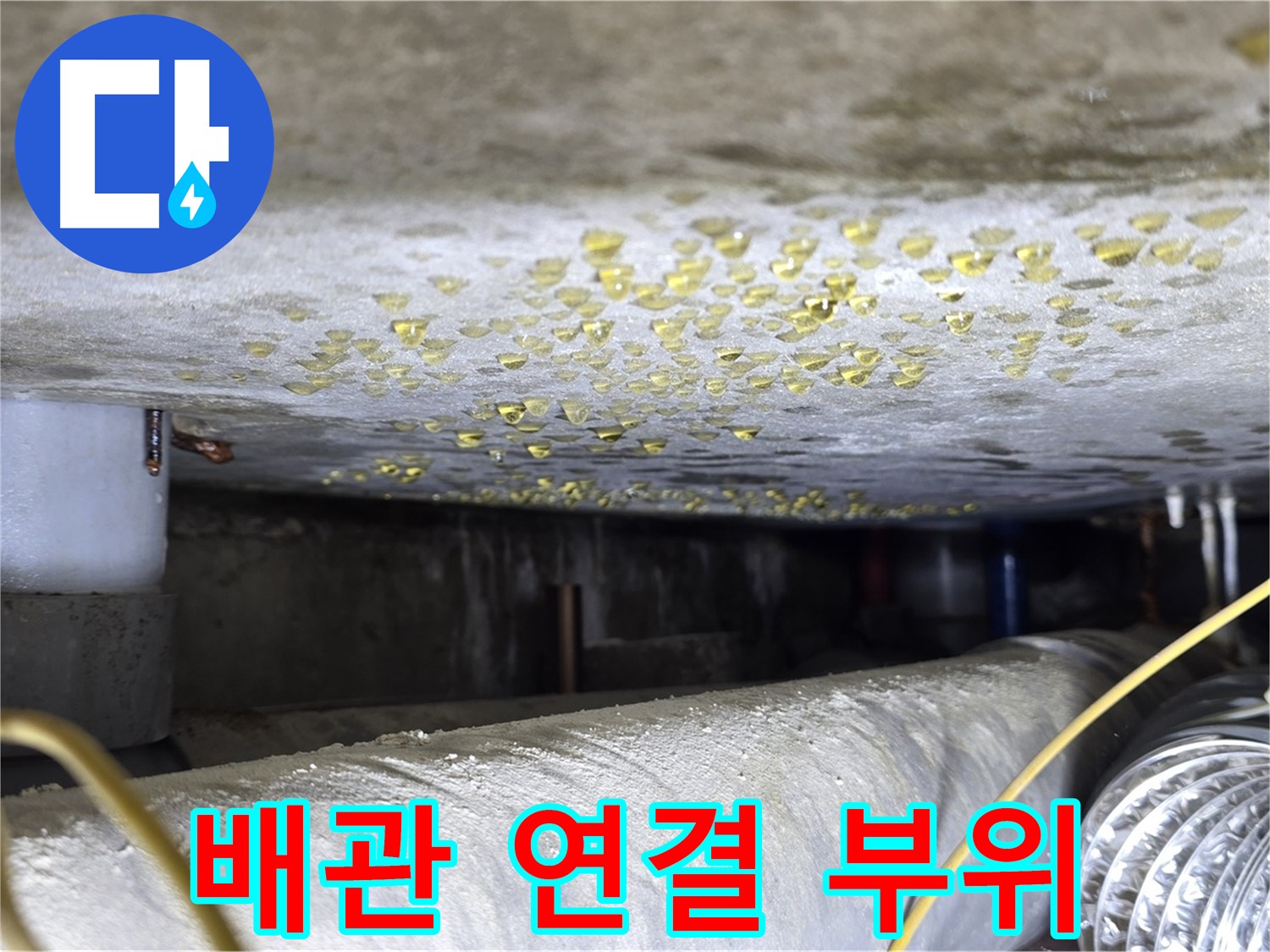 능동 아성빌라트 천장 누수 - 배관 연결 부위 집중 점검 - 누수 가능성