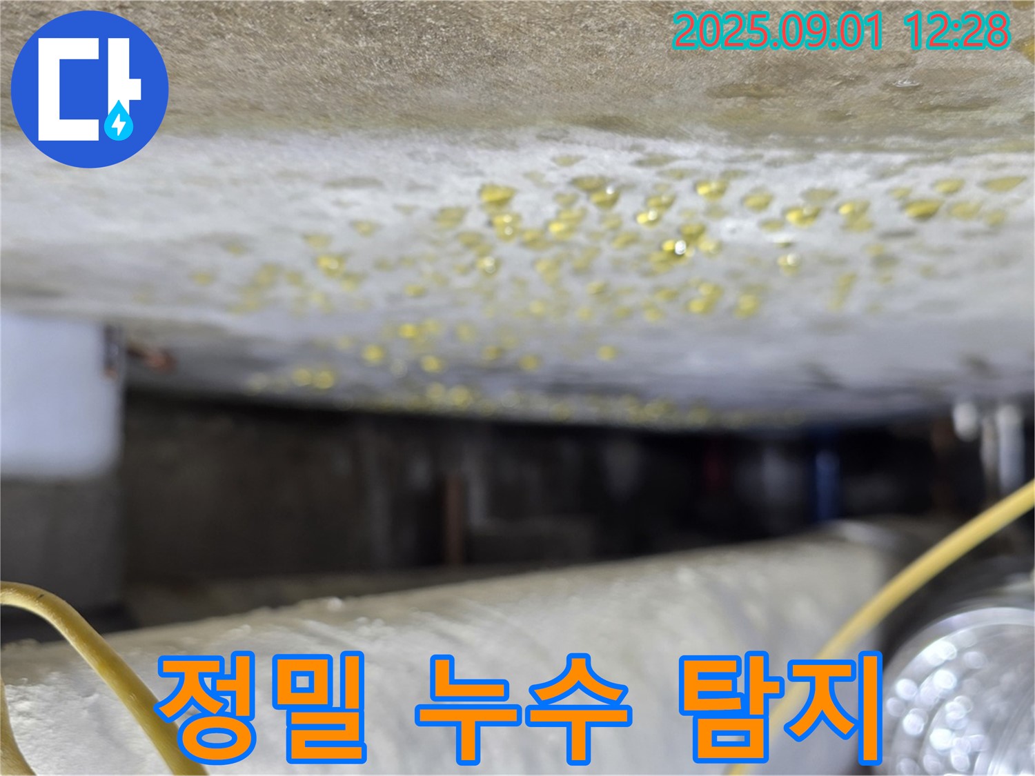 능동 아성빌라트 - 하수 배관 누수 탐지 작업 진행 모습