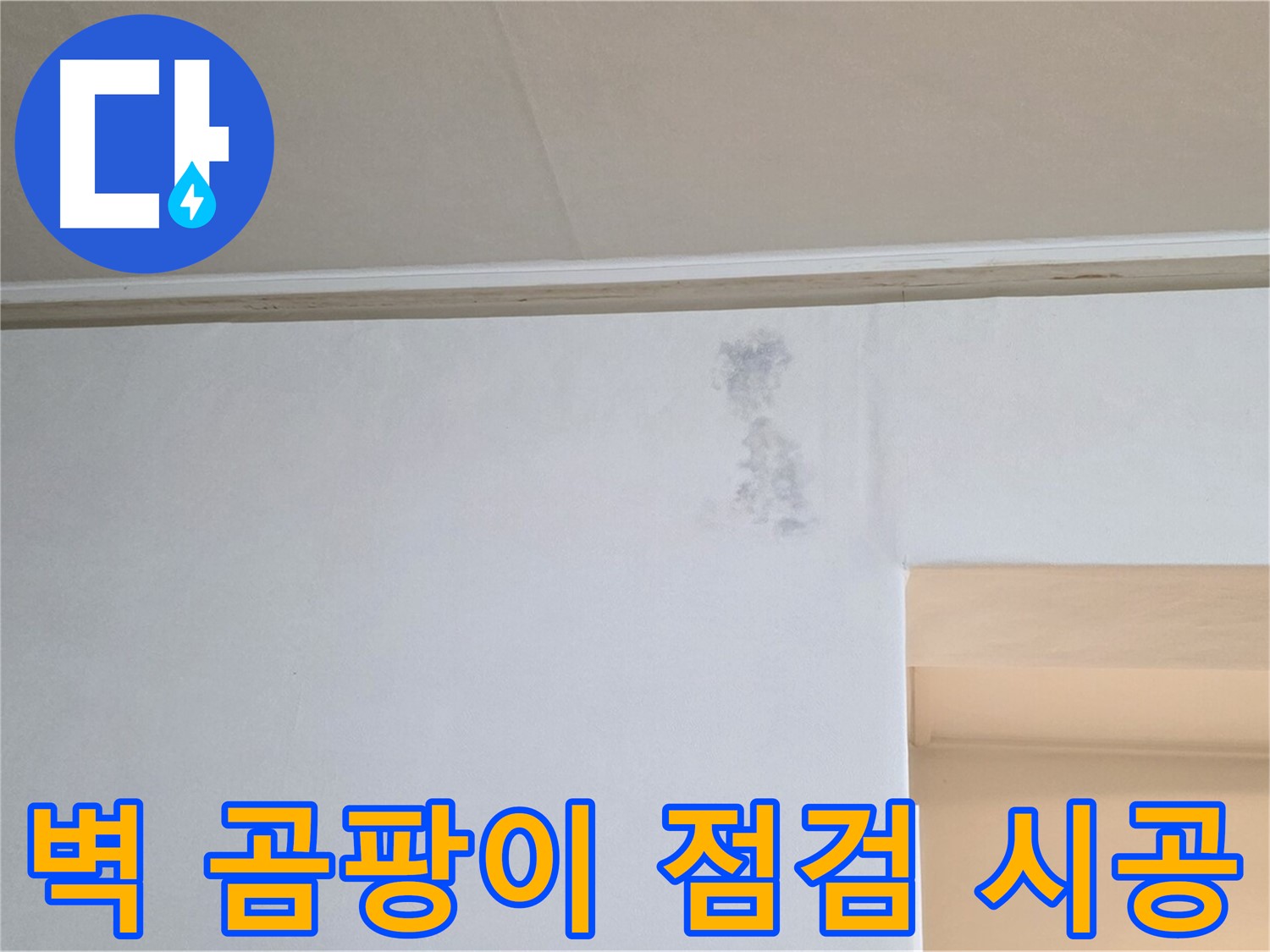 벽 곰팡이 - 꼼꼼한 점검과 확실한 시공으로 곰팡이 문제를 해결합니다.