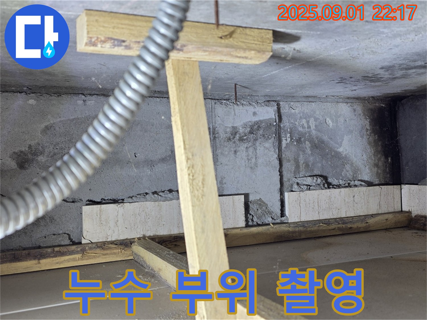 포천 일동면 아파트 누수 - 누수 부위 정밀 촬영으로 문제점 파악