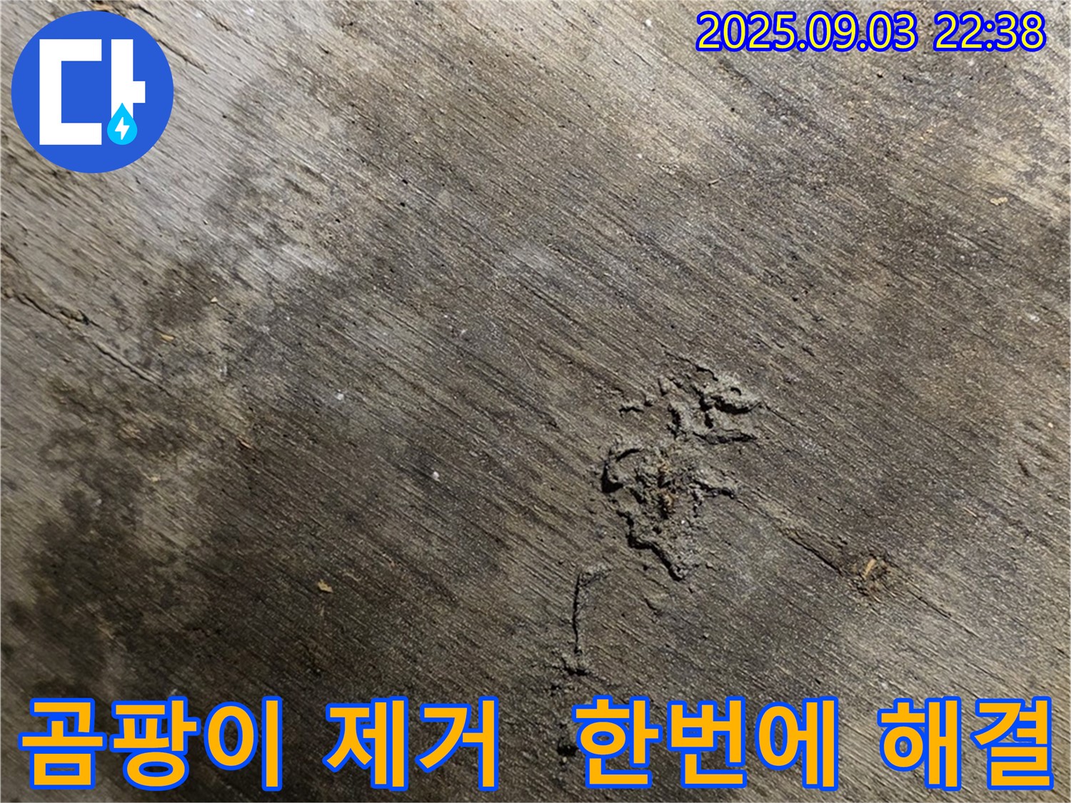 용산구 한강로2가 누수 현장 - 누수 해결 후 곰팡이 제거까지 한 번에 해결해 드립니다.