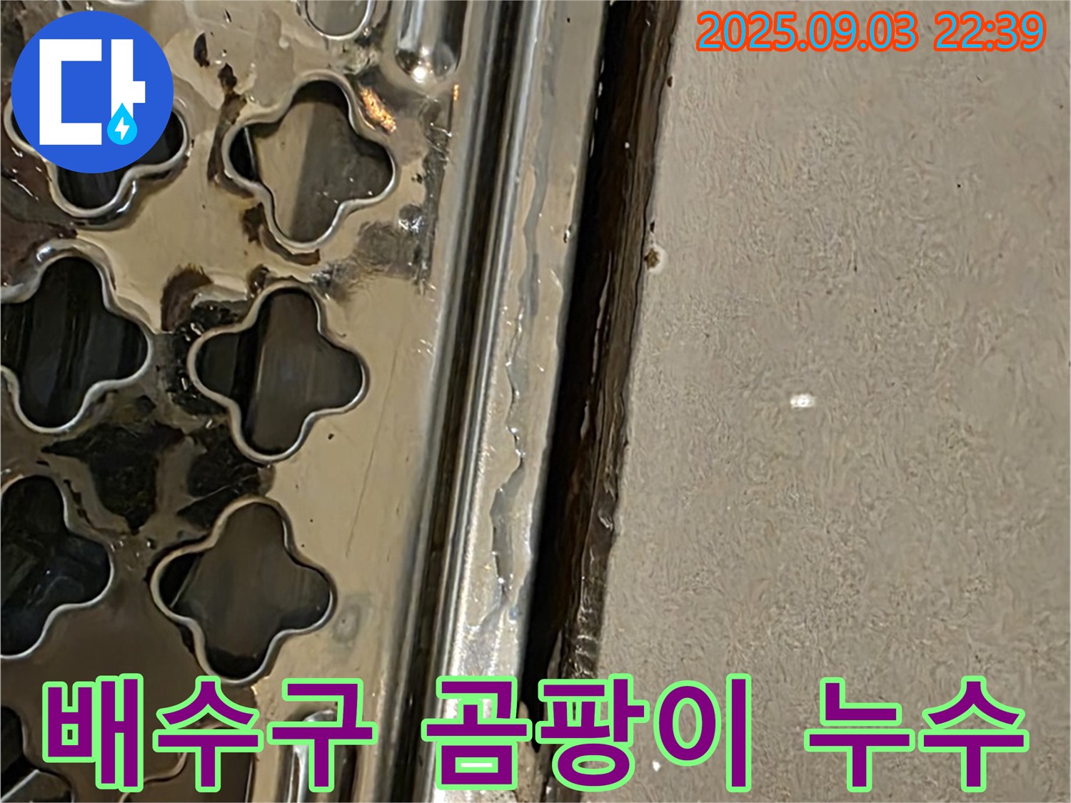 한강로2가 욕실 배수구 주변 곰팡이 - 습기와 누수로 인한 곰팡이 번식