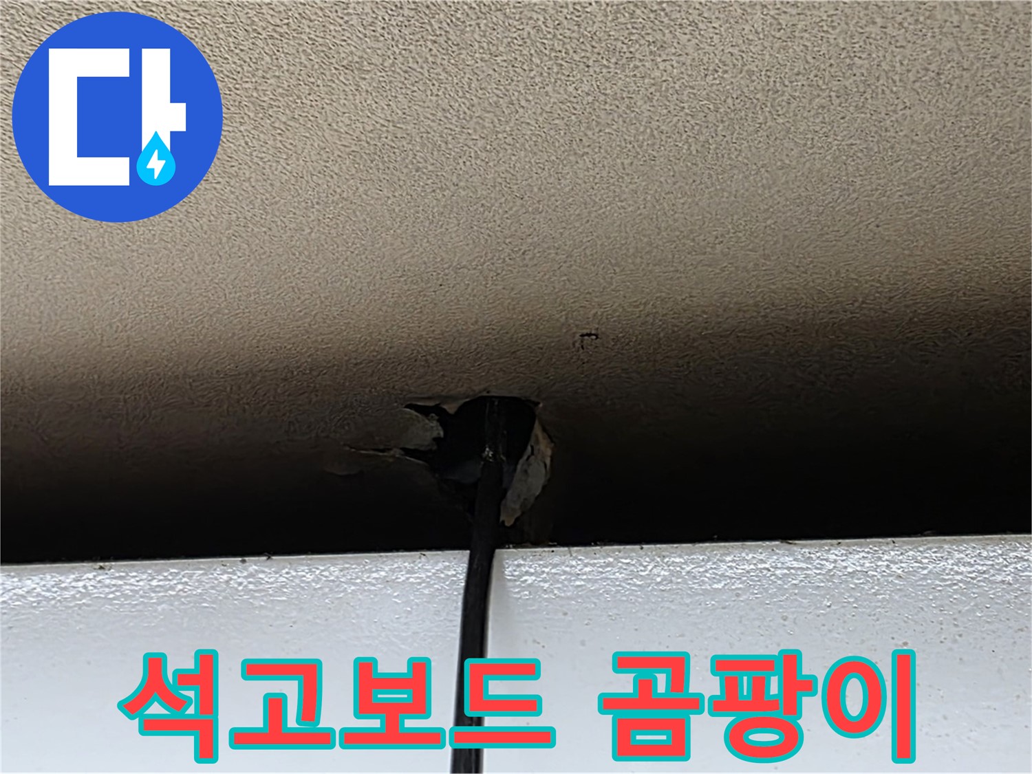 동대문구 누수 - 석고보드 곰팡이 발생, 건강 위협