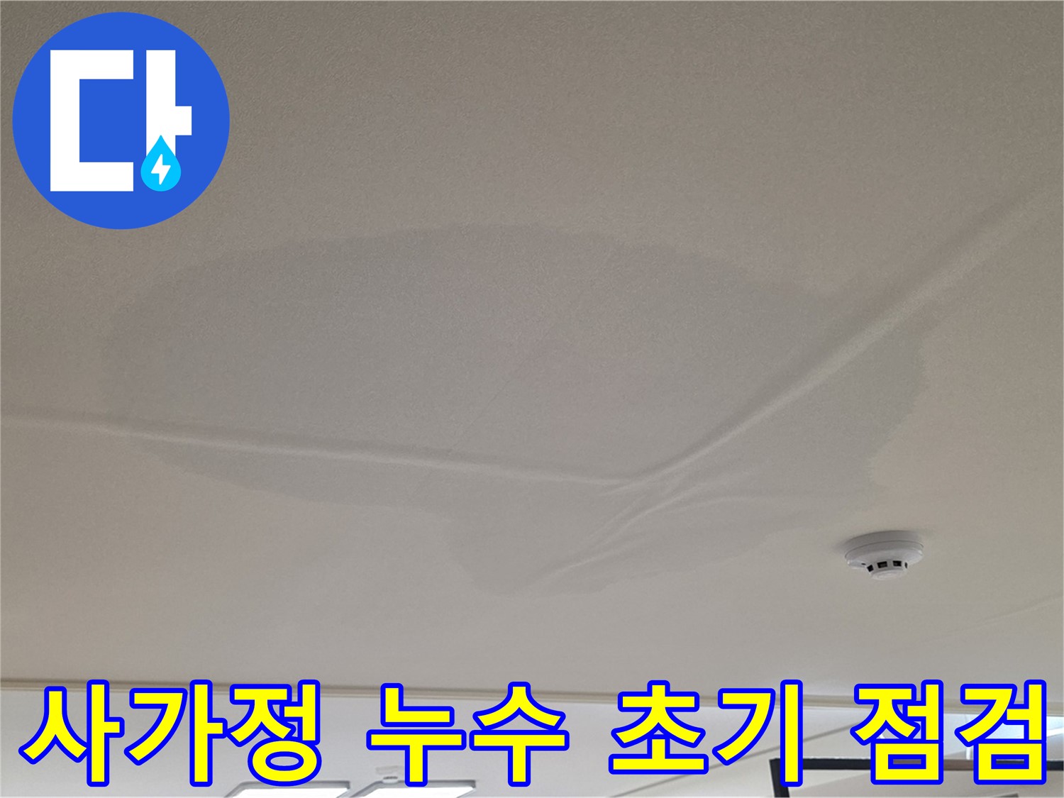 사가정 아파트 천장 누수 - 넓은 범위 물 얼룩 - 초기 점검 및 맞춤형 해결책
