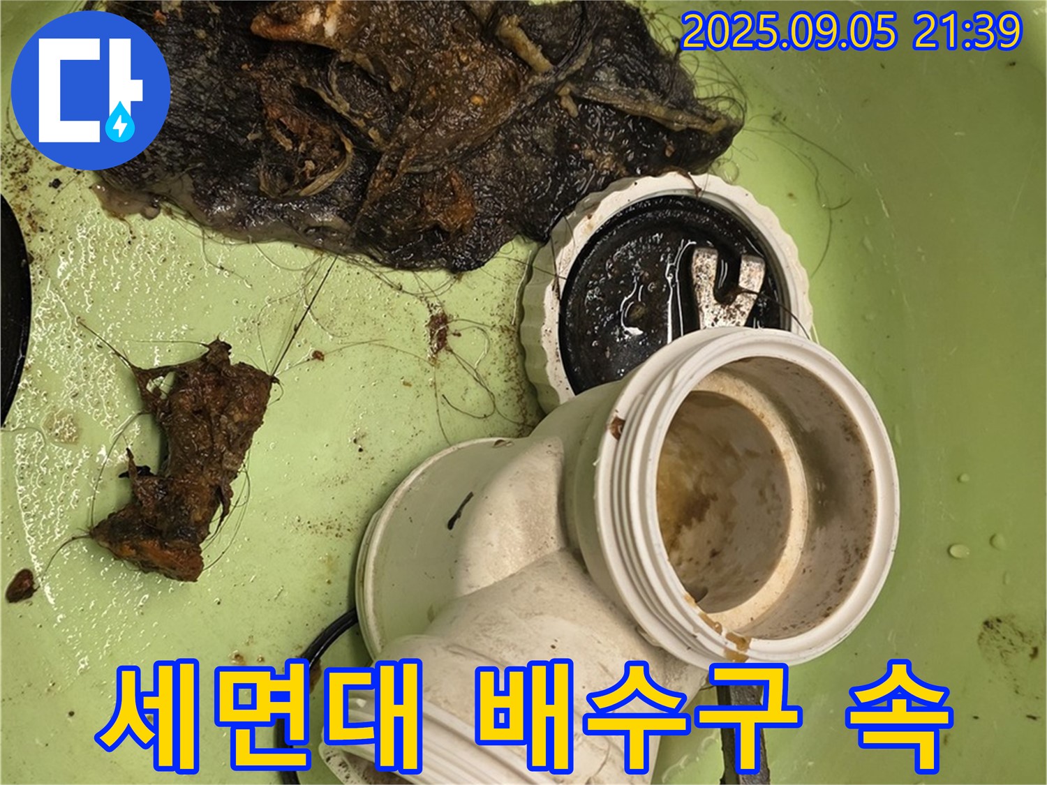 세면대 배수구 속에 숨어있던 머리카락과 이물질 뭉치 - 막힘의 원인을 찾아내다