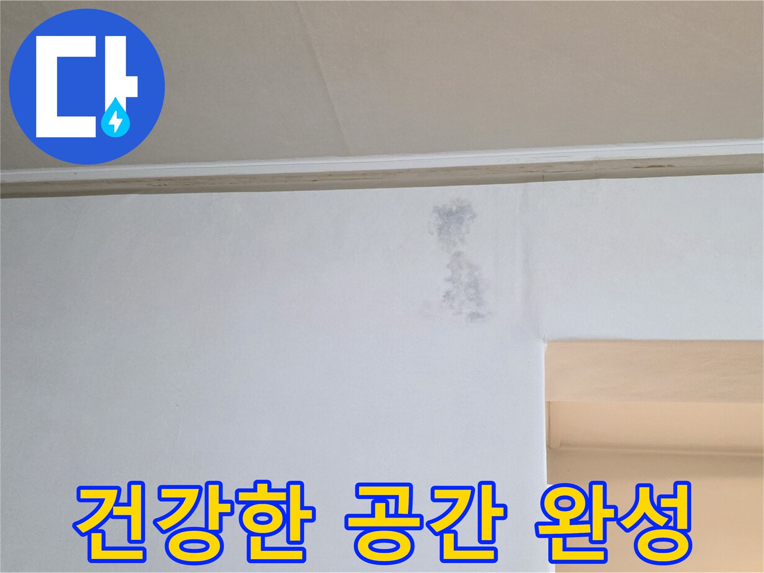 곰팡이 없는 건강한 공간 - 행복한 삶으로 초대