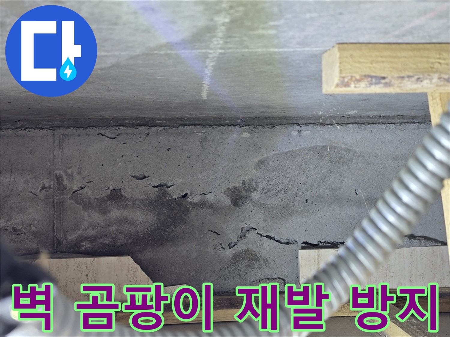 벽 곰팡이 누수 재발 방지 - 완벽 제거