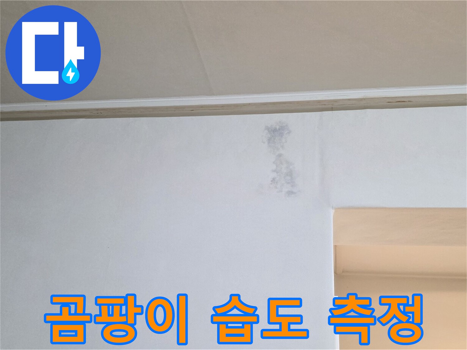 벽 모서리 곰팡이 습도 측정 - 누수 진단