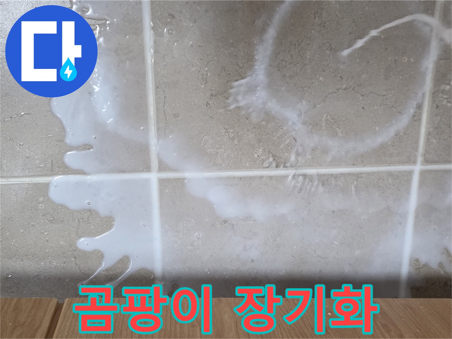 싱크대 쌀뜨물 주변 - 곰팡이 발생 - 누수 장기화 의심 - 청소 필요