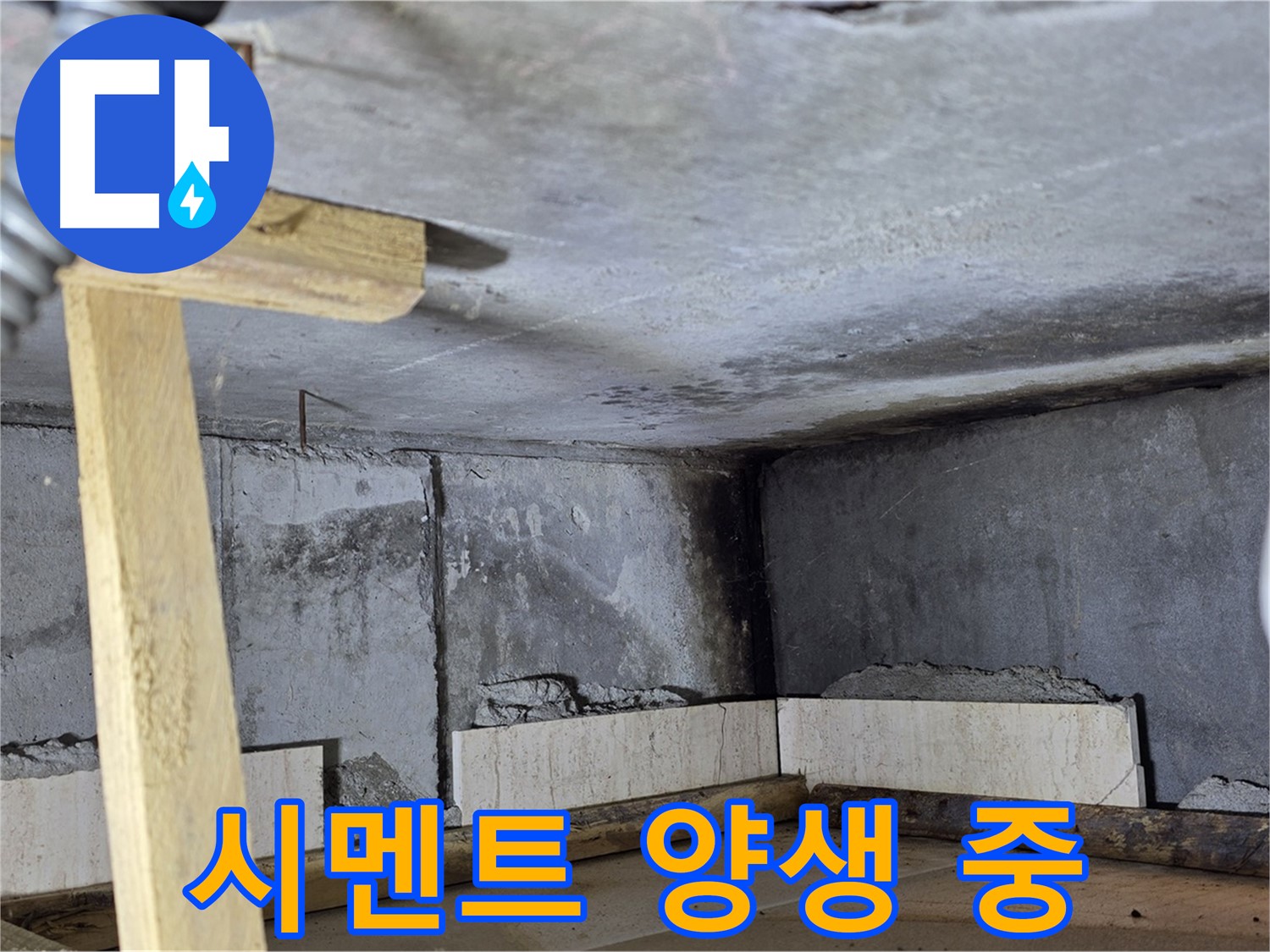 욕조 조적 시멘트 양생 - 온도 습도 맞춰 꼼꼼하게!