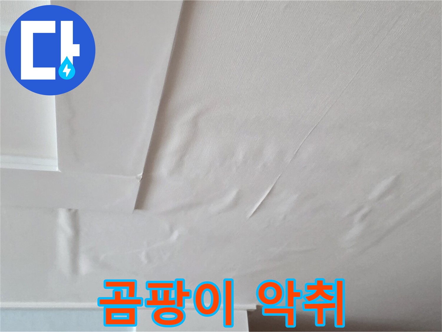 일동기산베스트빌 아파트 천장 누수 - 곰팡이와 악취 발생