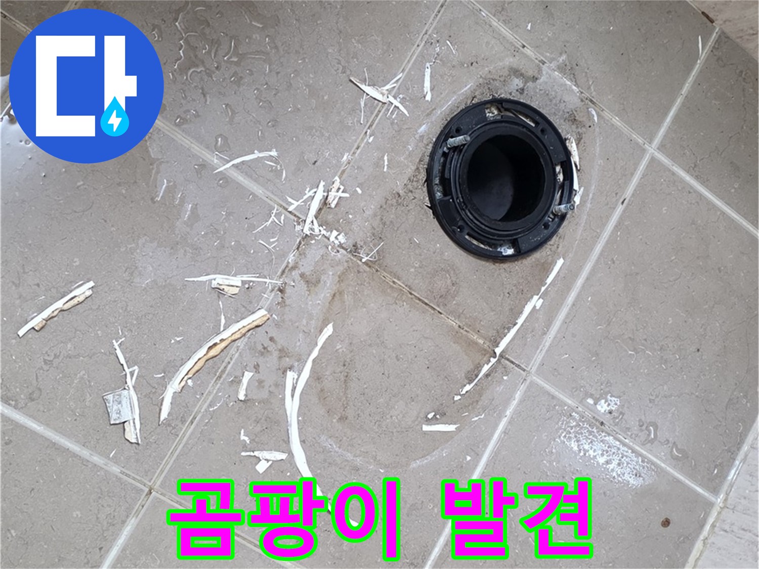 포천 일동 변기 누수 - 플랜지 주변 곰팡이