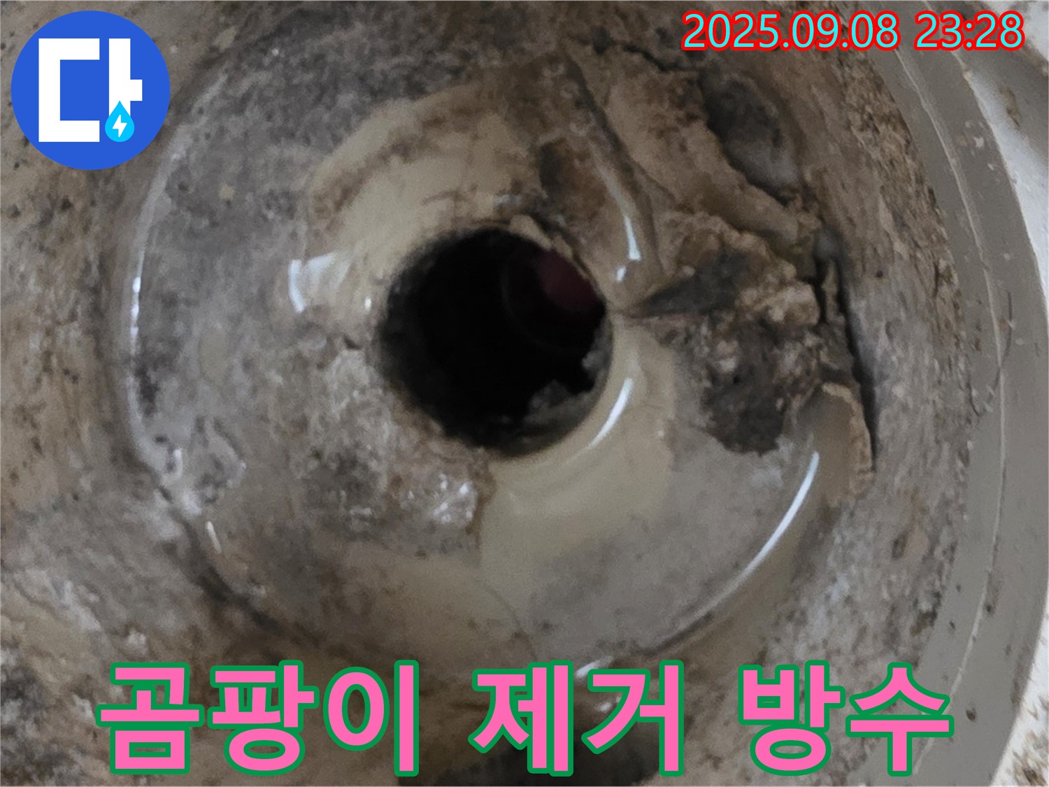 포천 일동 씽크대 하부장 곰팡이 - 곰팡이 제거 및 방수 작업으로 쾌적하게!