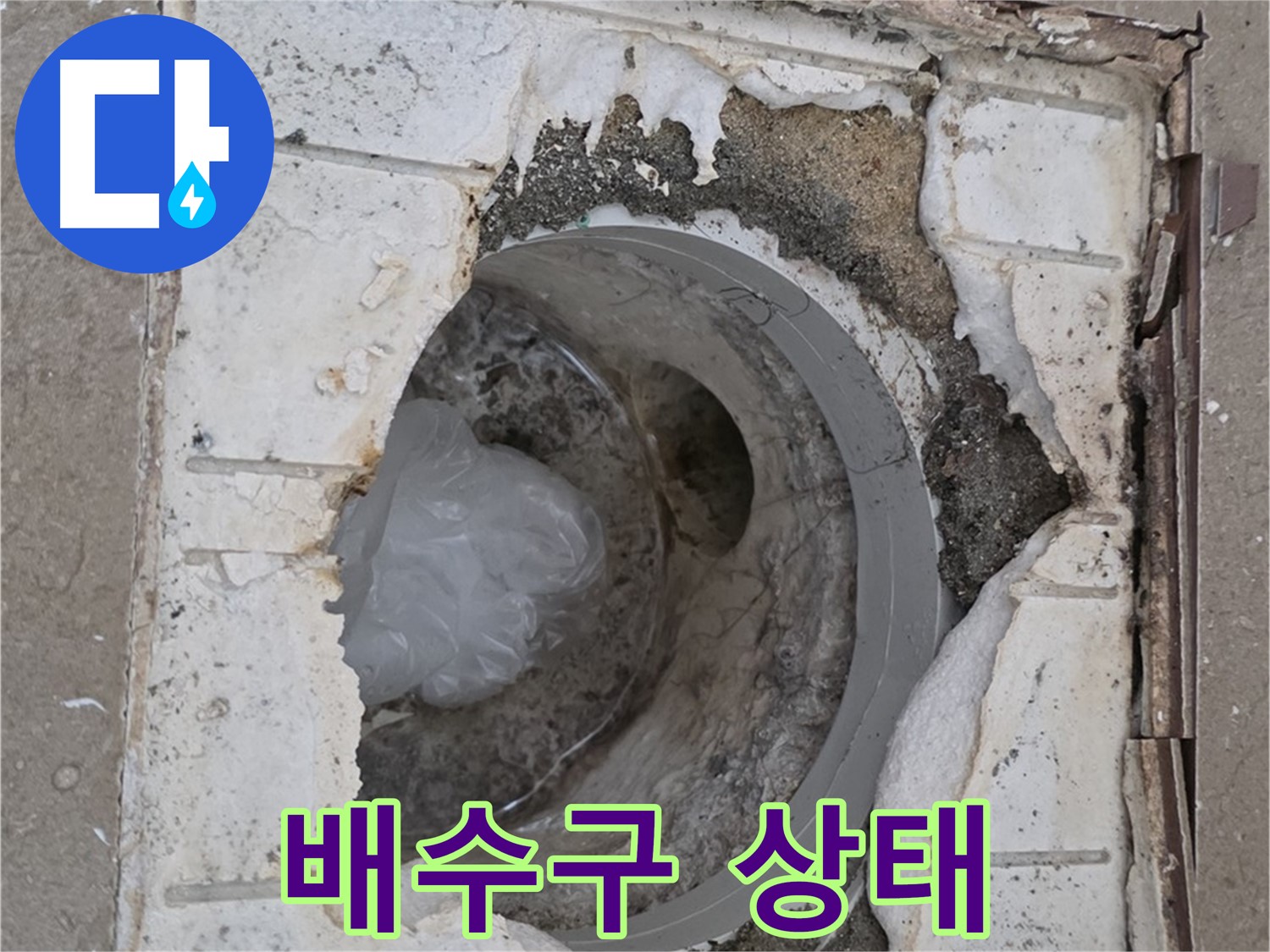 포천 일동 아파트 - 욕실 배수구 긴급 진단