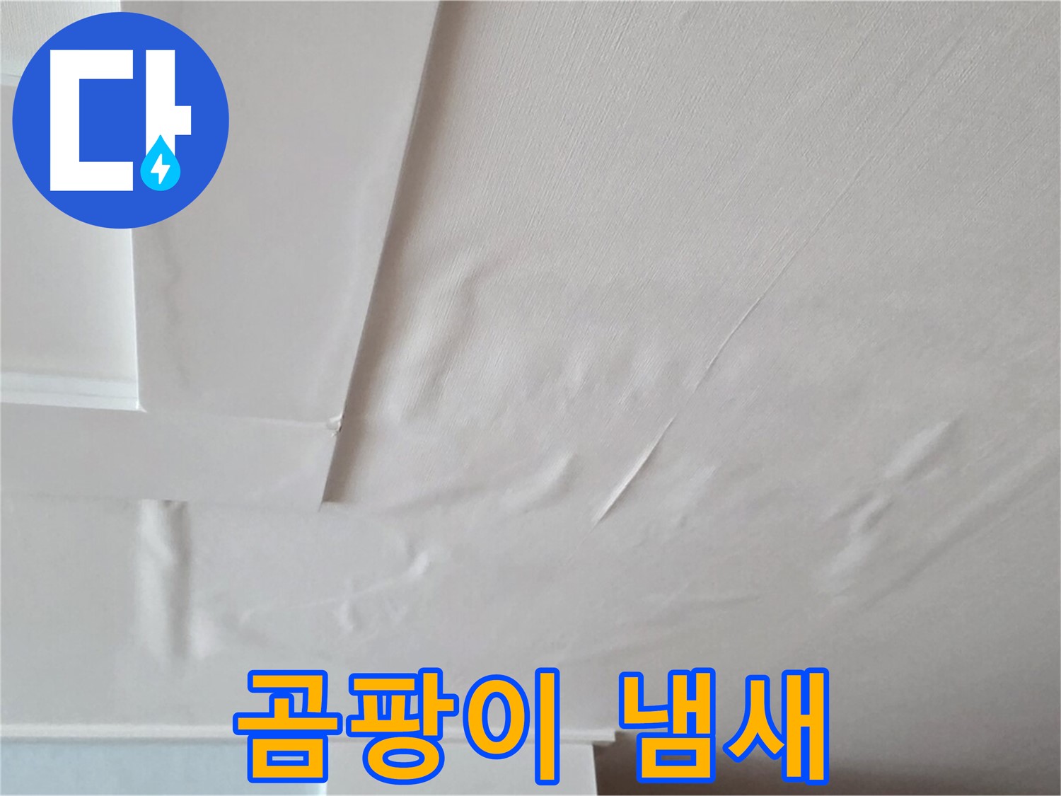 포천 일동 아파트 천장 누수 - 곰팡이 냄새 - 두통 유발 - 학습 능력 저하