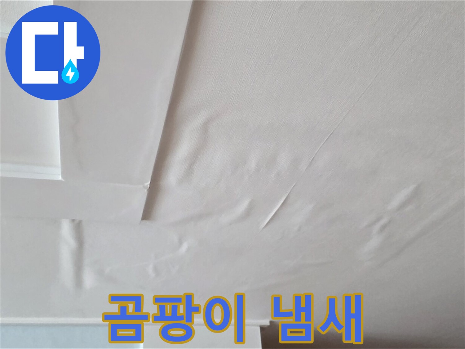 포천 일동 아파트 천장 누수 - 곰팡이 냄새 - 집중력 저하 - 업무 효율성 감소