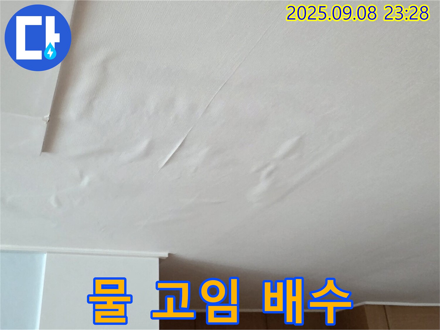 포천 일동 아파트 천장 누수 - 물 고임 현상, 긴급 배수 작업 진행