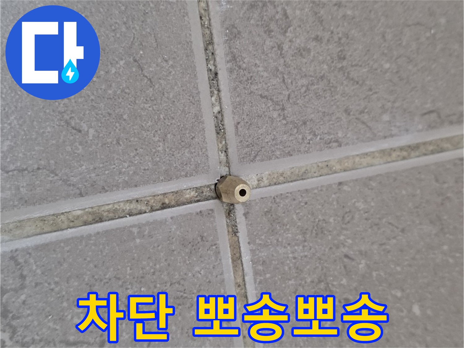 포천 일동 오래된 아파트 타일 틈새 - 주입구로 완벽 차단, 뽀송뽀송한 공간으로!