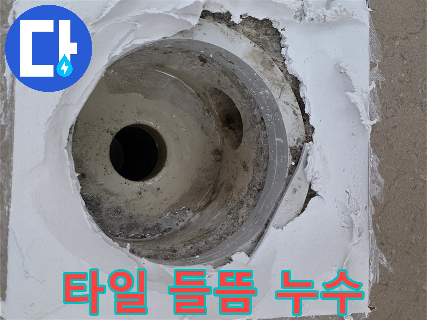 포천 일동면 아파트 - 낡은 배수구 주변 타일 들뜸 및 백시멘트 손상으로 인한 누수