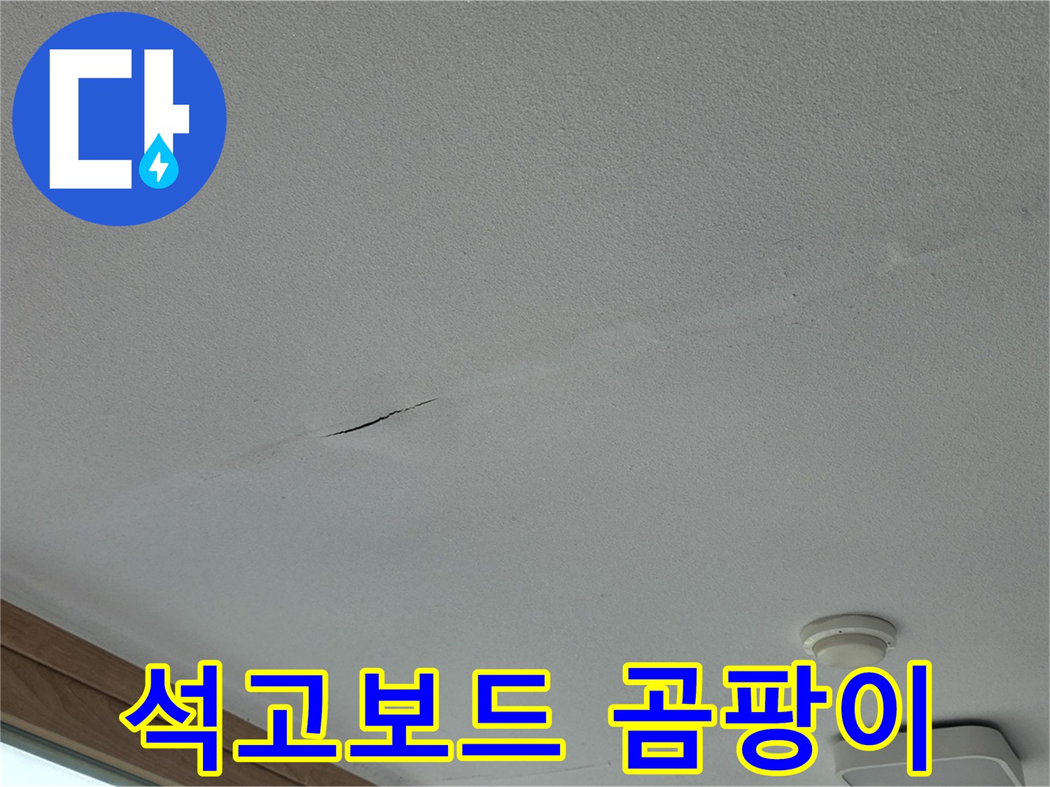 포천시 일동면 아파트 천장 - 곰팡이 핀 석고보드