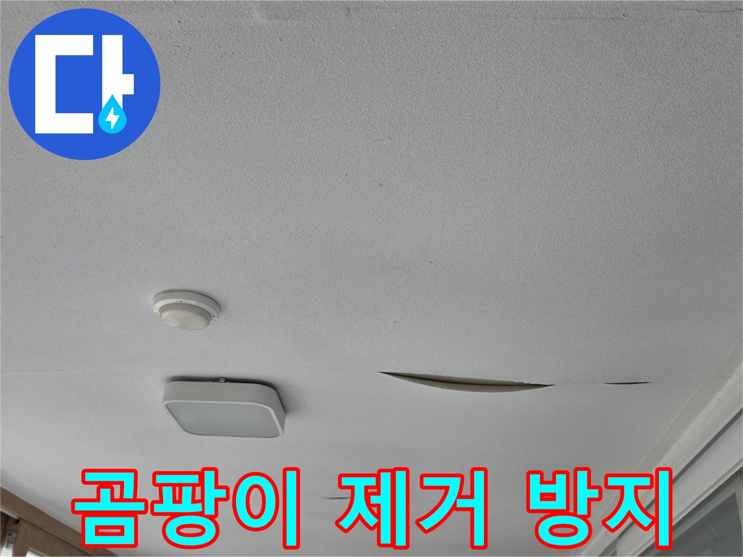 포천시 일동면 아파트 천장 누수 - 석고보드 곰팡이 제거 후 재발 방지 시공