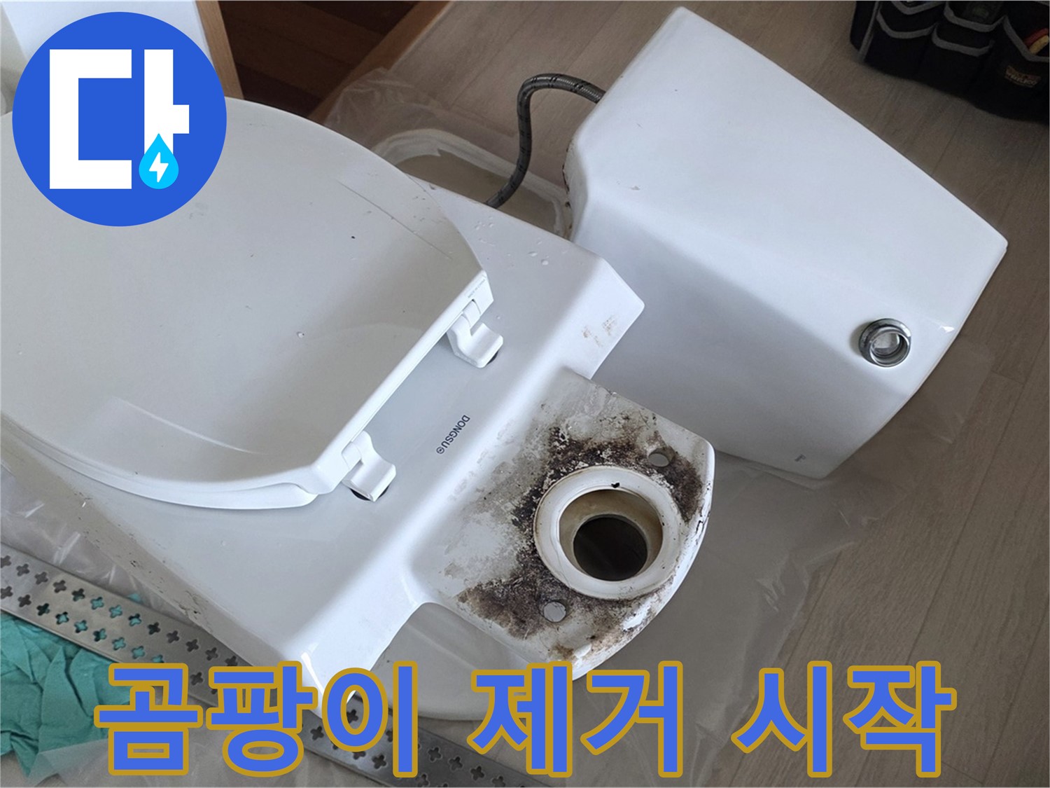 포천시 일동면 운악청계로 1772 - 변기 곰팡이 제거, 강력한 약품 투입 준비!