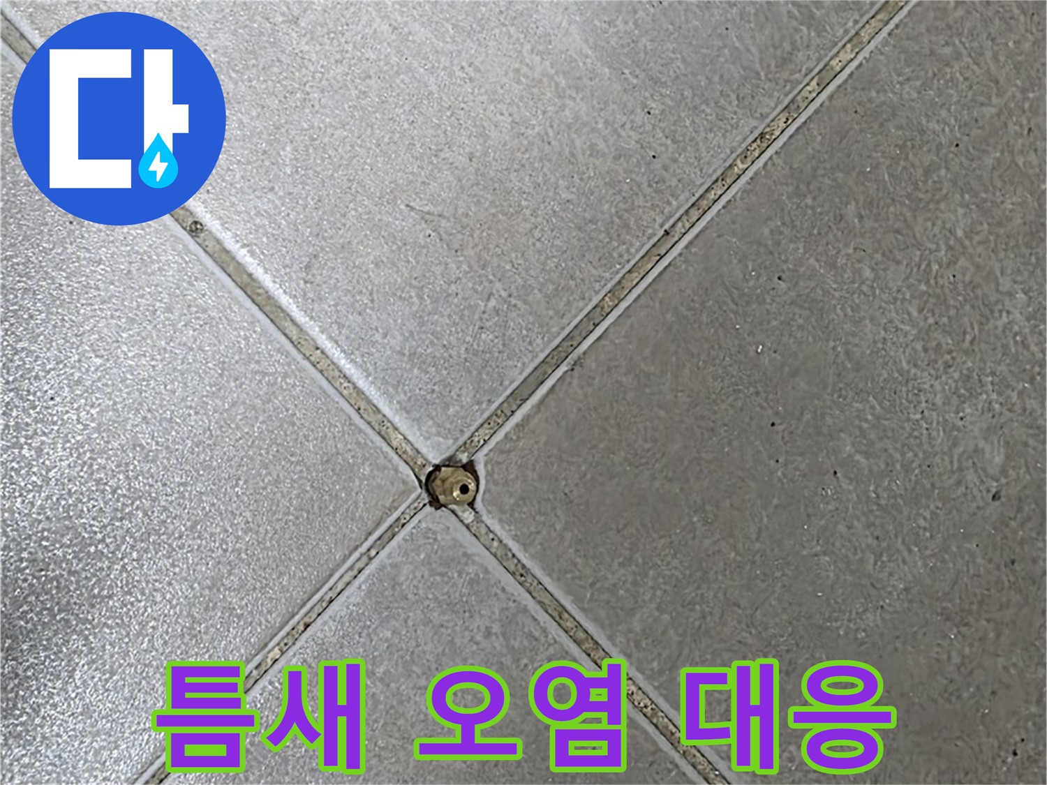 양주 옥정 율정마을 13단지 아파트 타일 틈새 오염 - 누수 초기 대응 과정입니다.