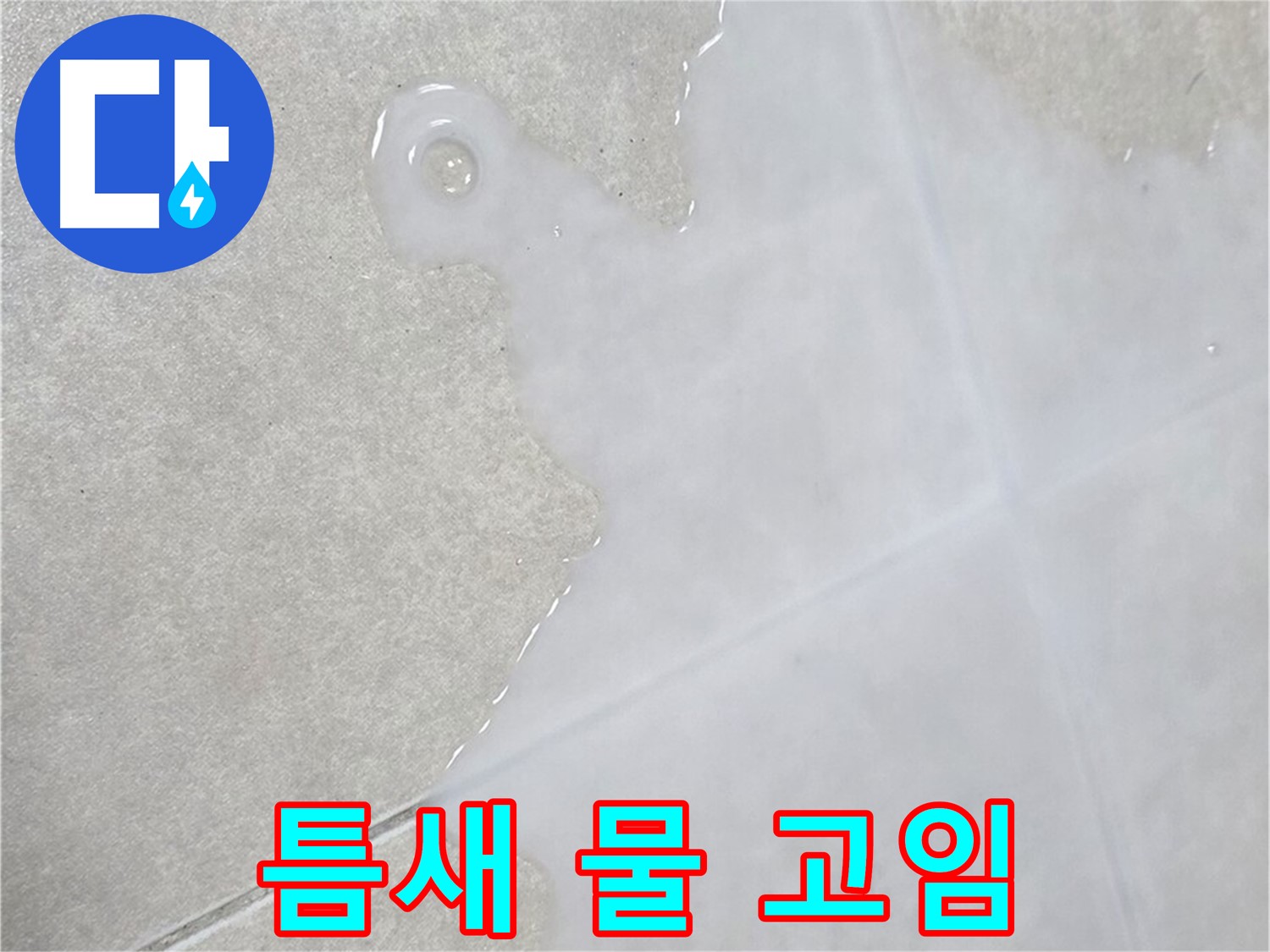 양주 옥정 율정마을 아파트 타일 틈새 물 고임 - 정확한 누수 지점 탐지
