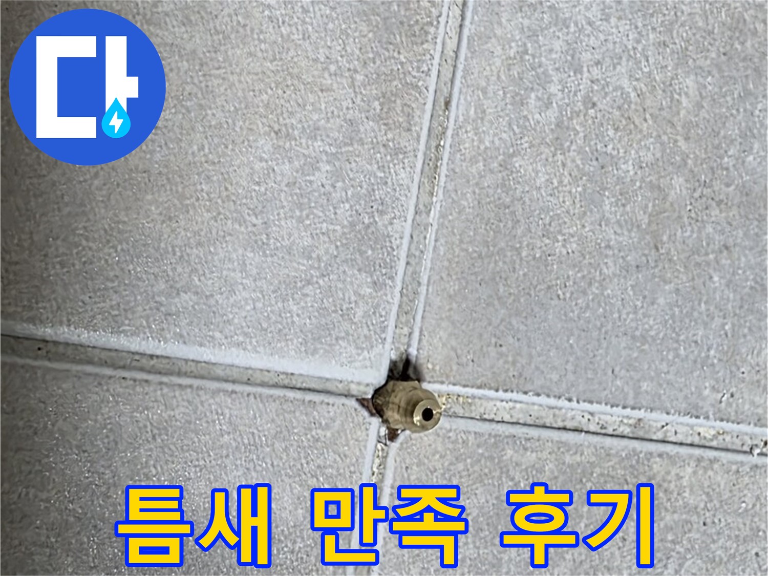 양주 옥정동 율정마을 아파트 누수 - 타일 틈새 누수, 속 시원하게 해결하고 고객님께서 만족하신 후기입니다!