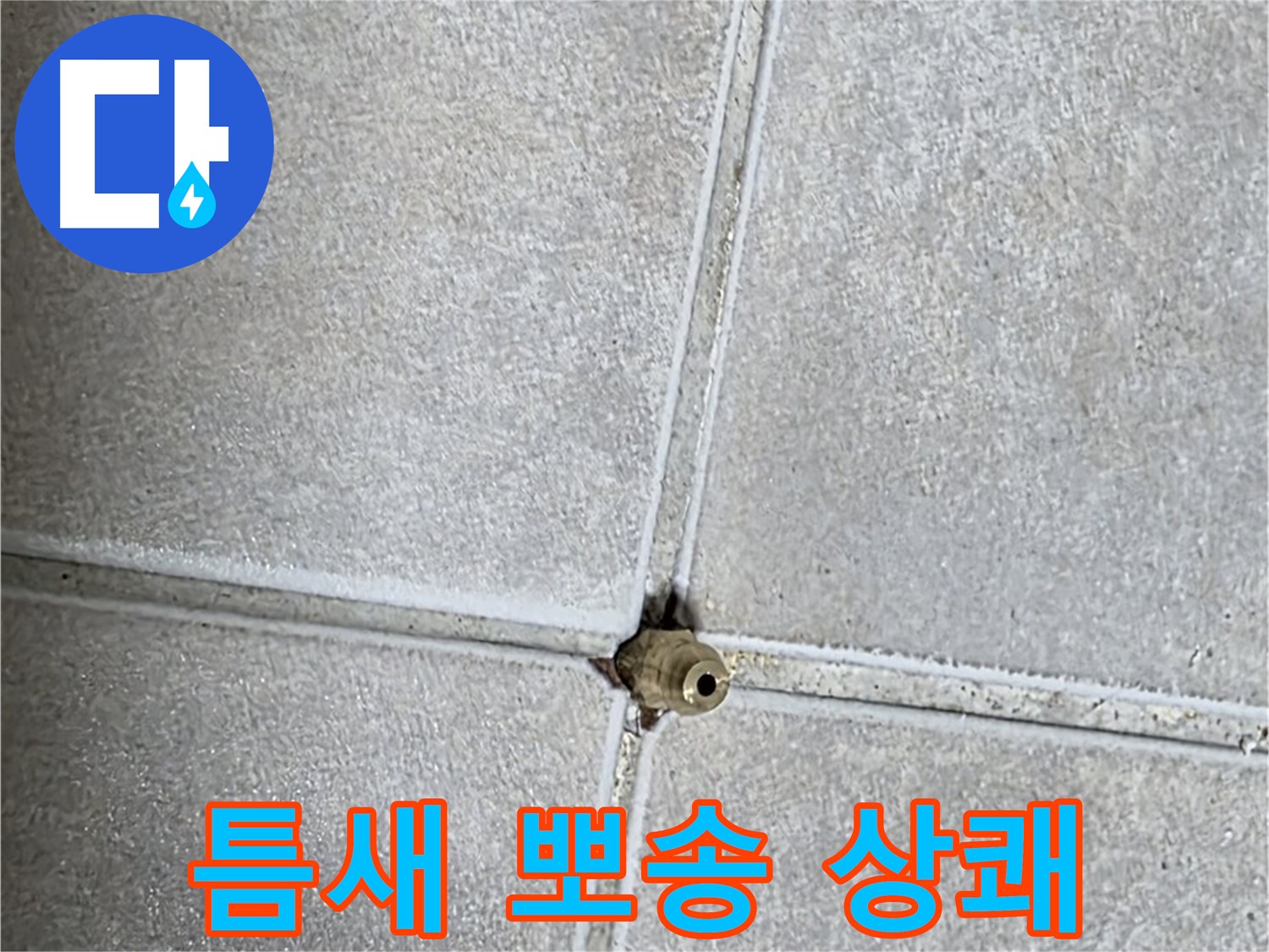양주 옥정동 율정마을 아파트 누수 - 타일 틈새 누수, 완벽하게 해결하고 뽀송뽀송한 욕실에서 상쾌한 하루를 시작하세요!