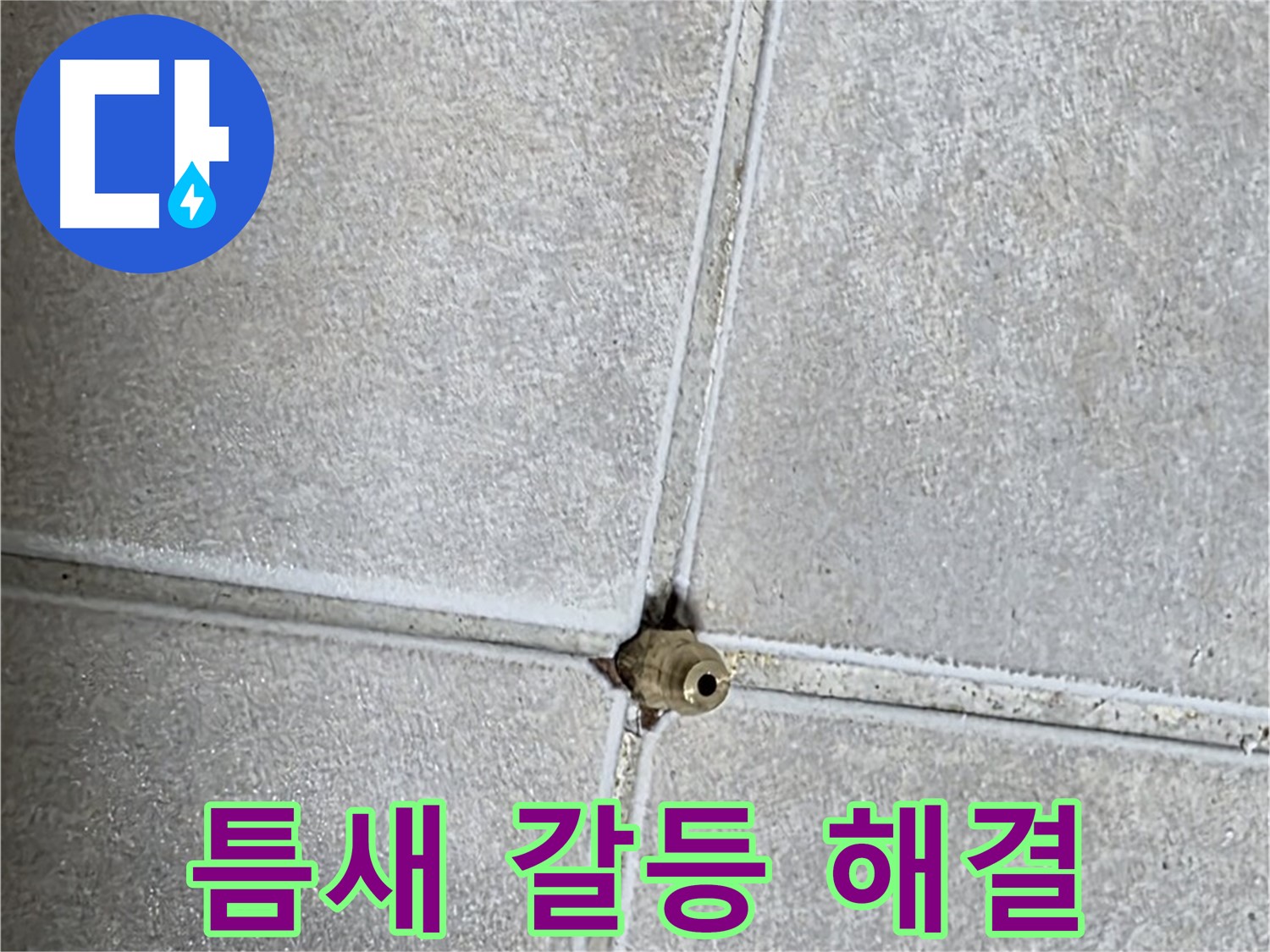 양주 옥정동 율정마을 아파트 누수 - 타일 틈새 누수, 완벽하게 해결하고 이웃 간의 갈등을 종식시켰습니다!
