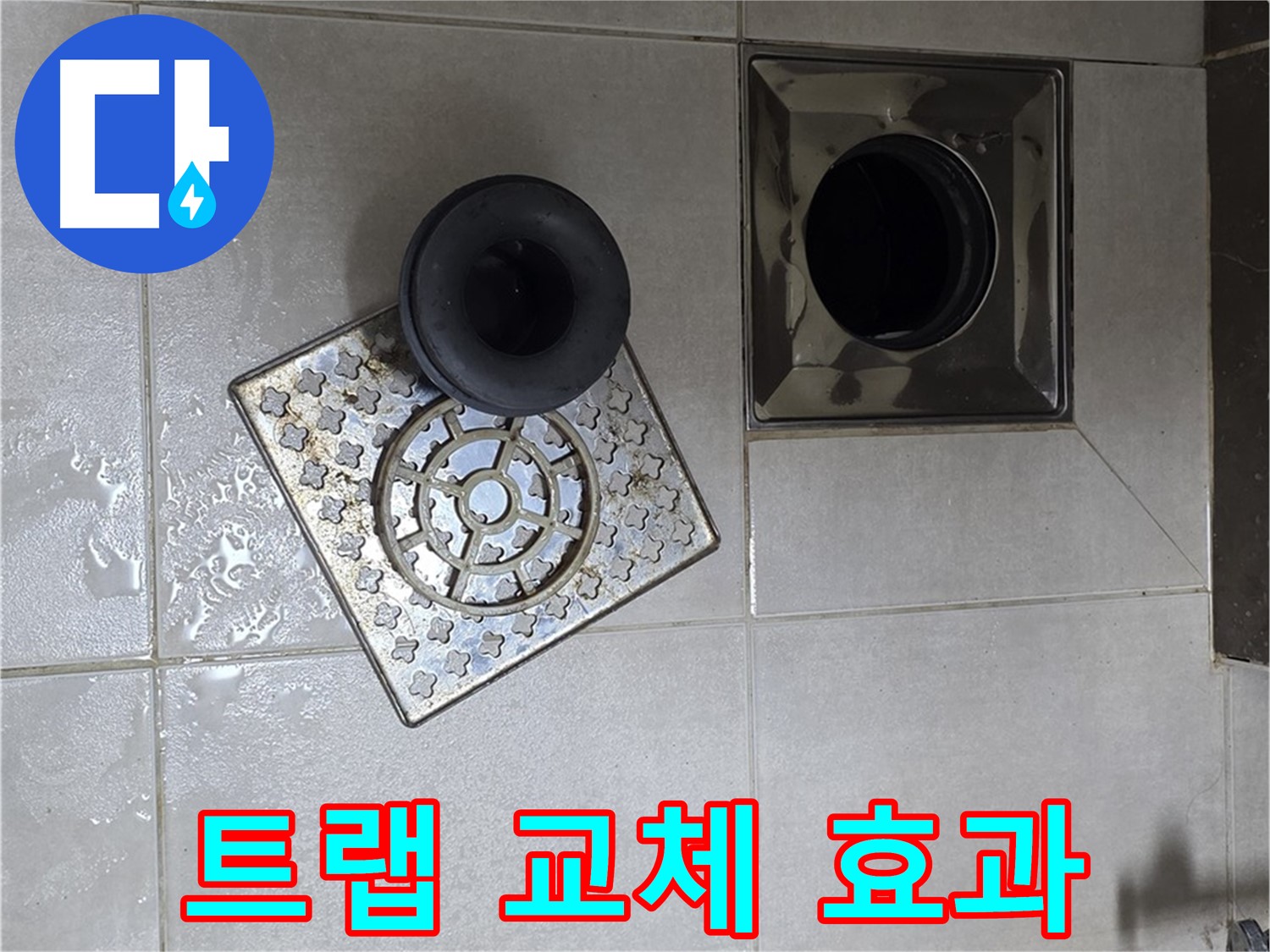 양주 옥정동 율정마을 아파트 - 욕실 배수구 누수, 트랩 교체로 완벽 차단