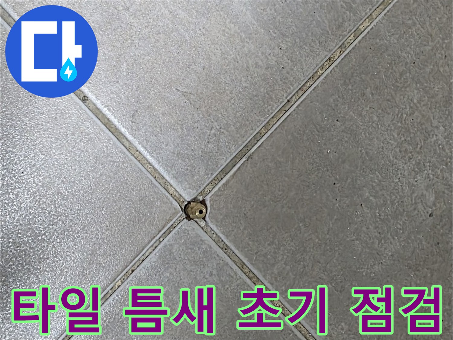 양주시 옥정동 율정마을 13단지 아파트 타일 틈새 - 초기 점검 과정입니다.