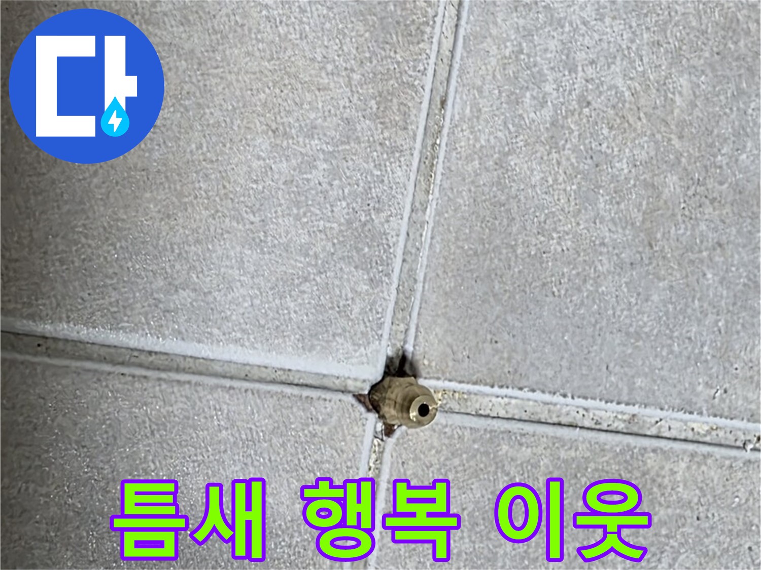 옥정 율정마을 아파트 누수 - 타일 틈새 누수 해결, 이웃사촌과 함께 웃는 행복한 우리 집을 만들어 드립니다!
